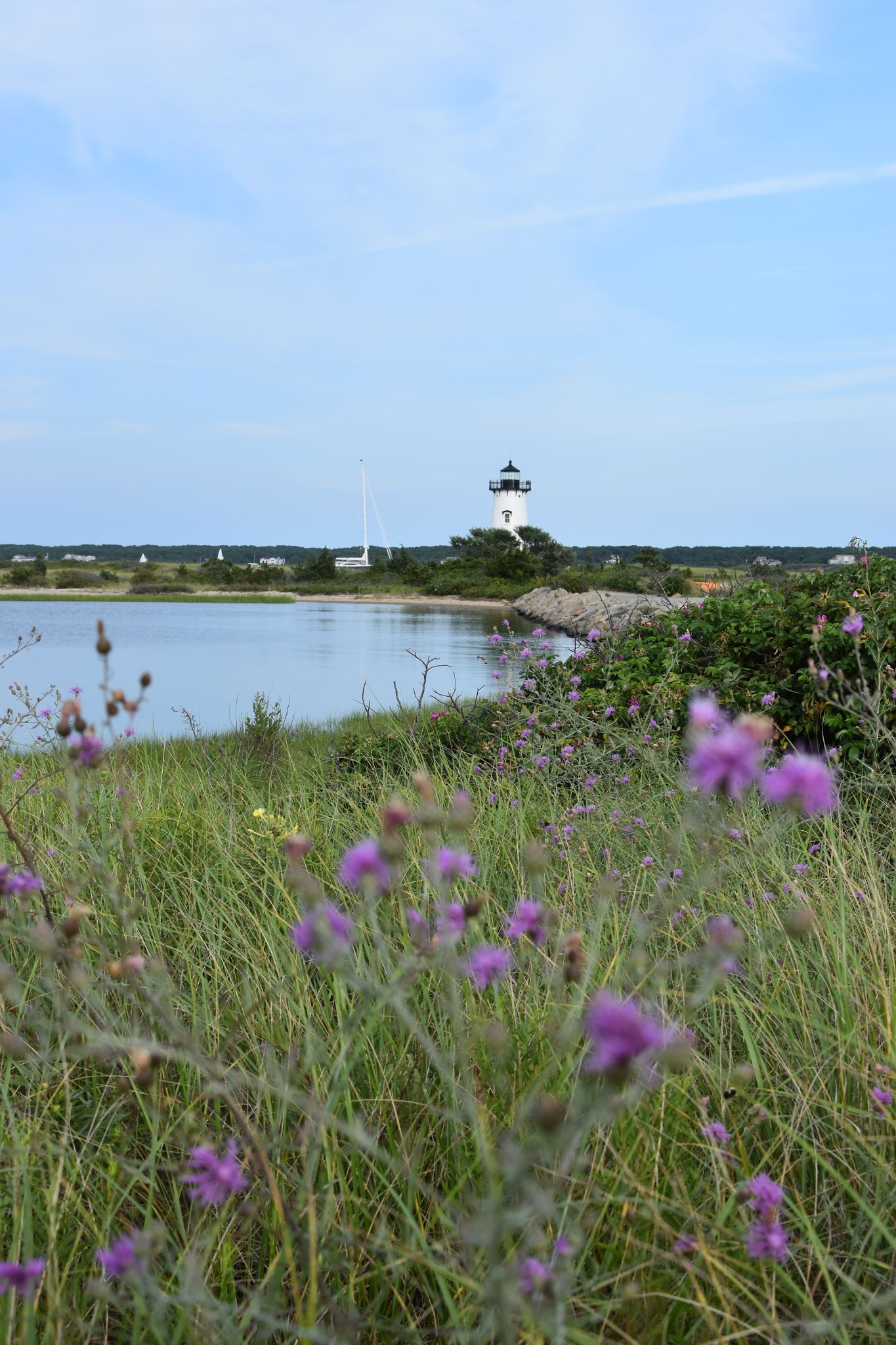 10 hours on Martha's Vineyard — image 10