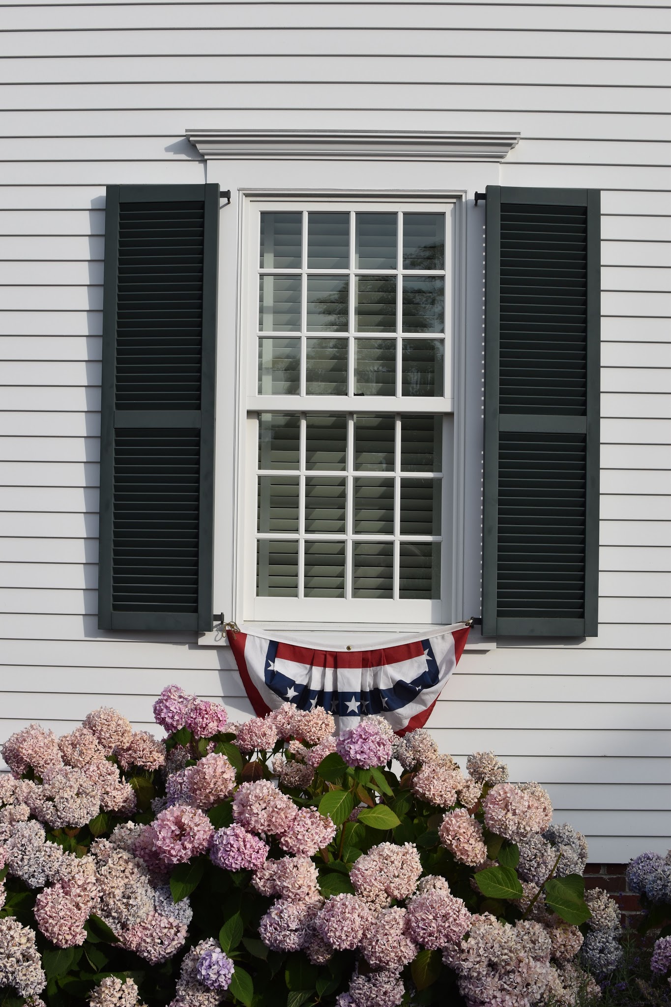 10 hours on Martha's Vineyard — image 11