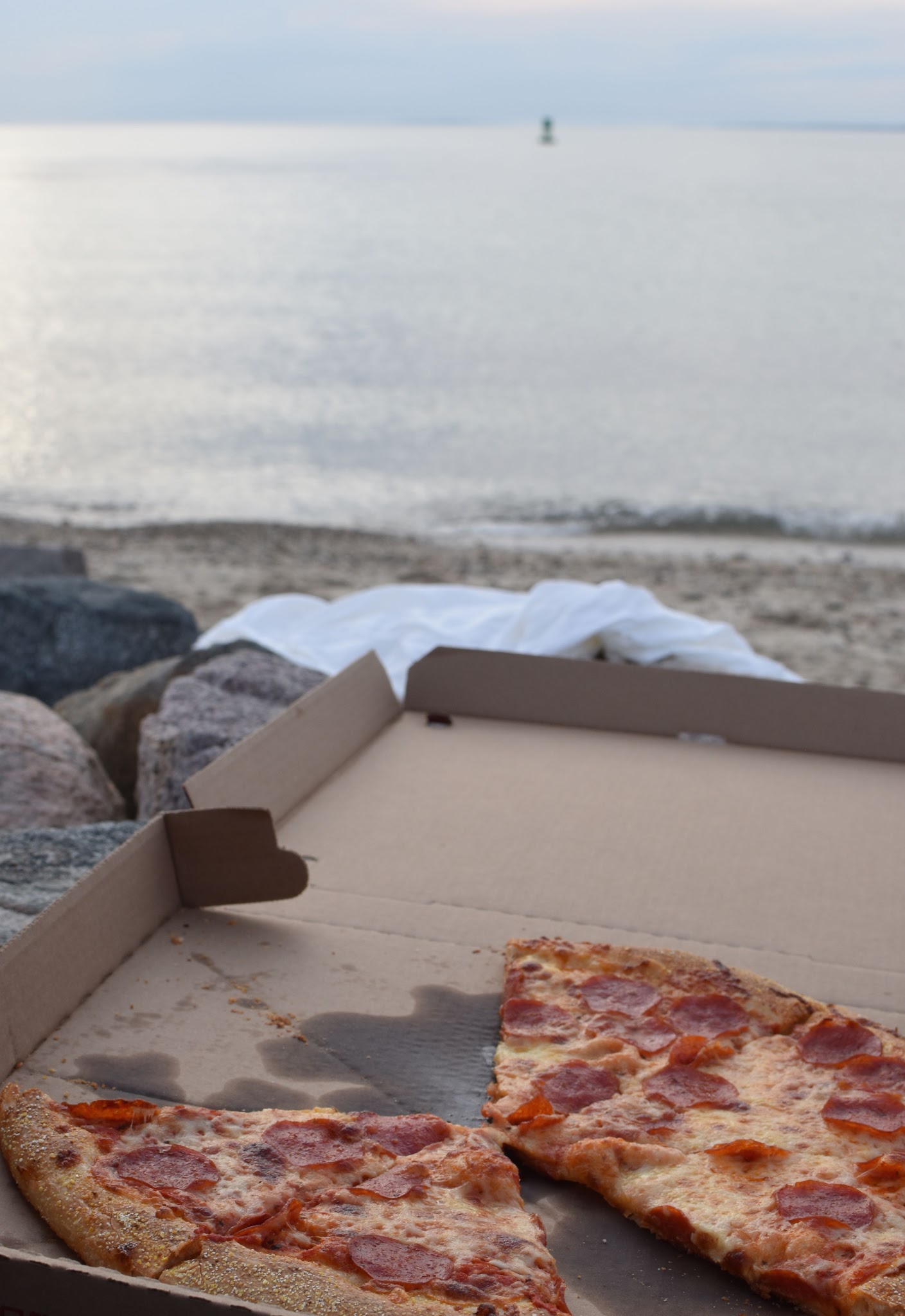 10 hours on Martha's Vineyard — image 13