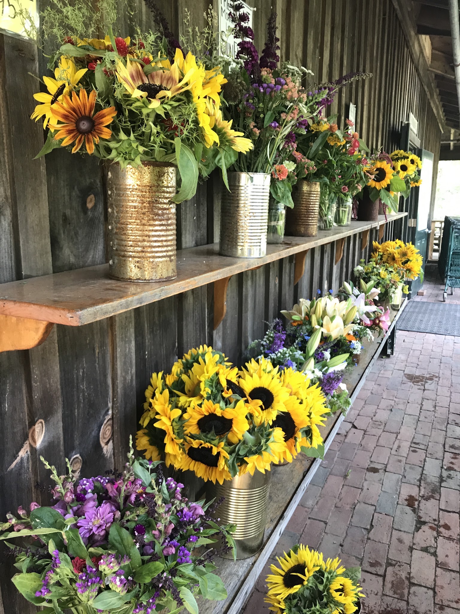 10 hours on Martha's Vineyard — image 8