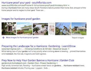 how to not hurricane proof your garden — image 2