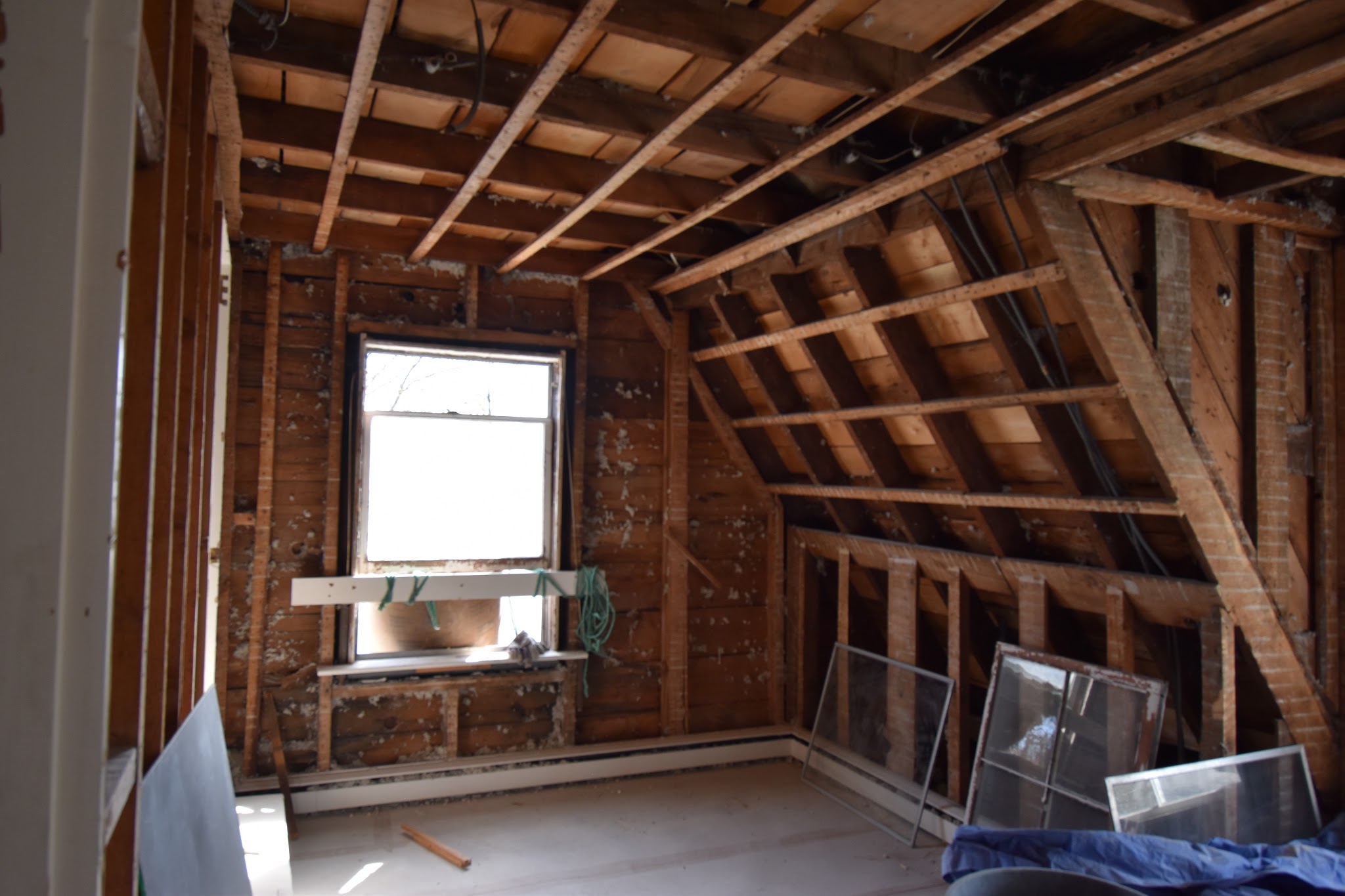 Project Update: Week 1 — image 2
