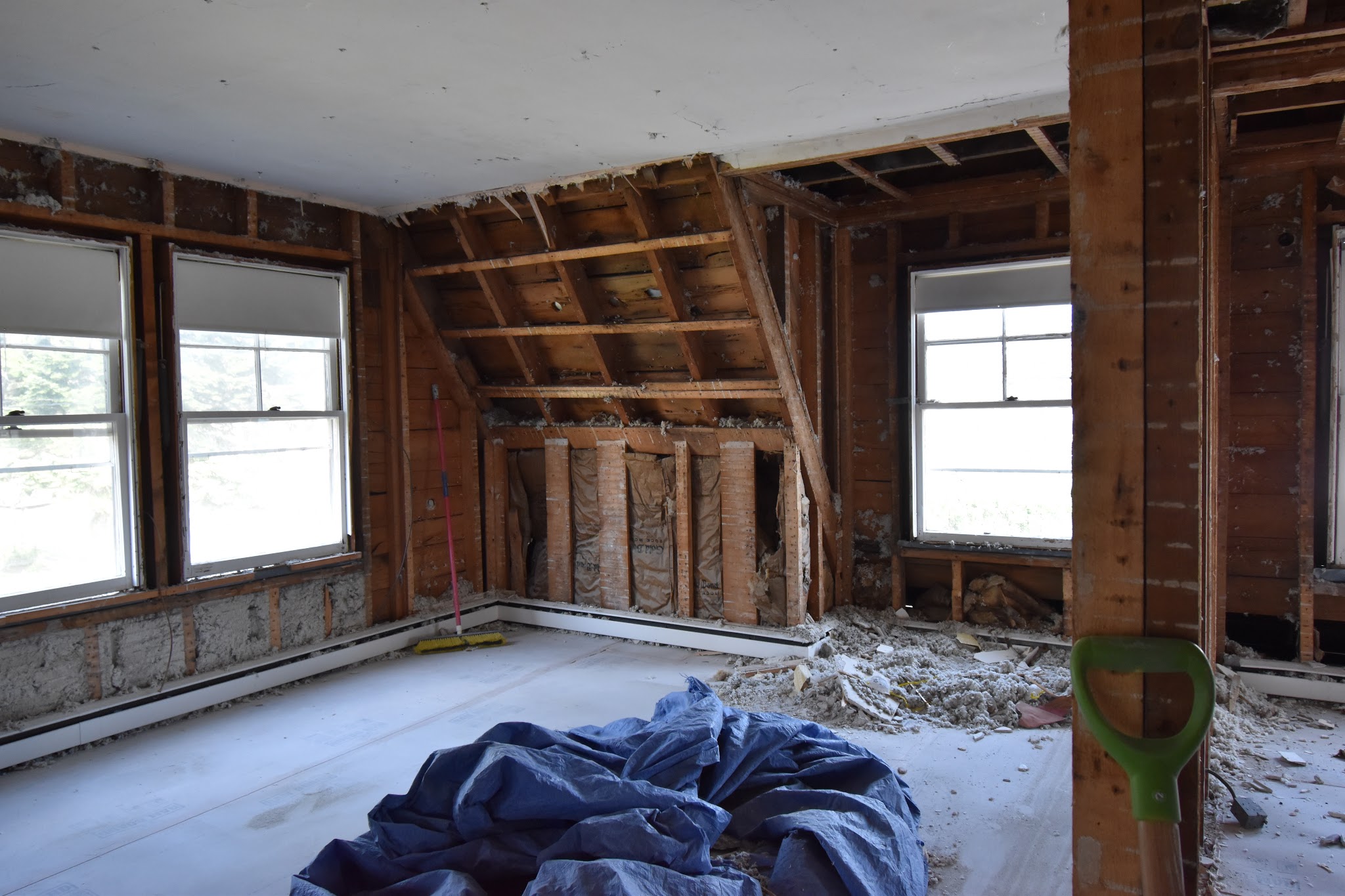 Project Update: Week 1 — image 5