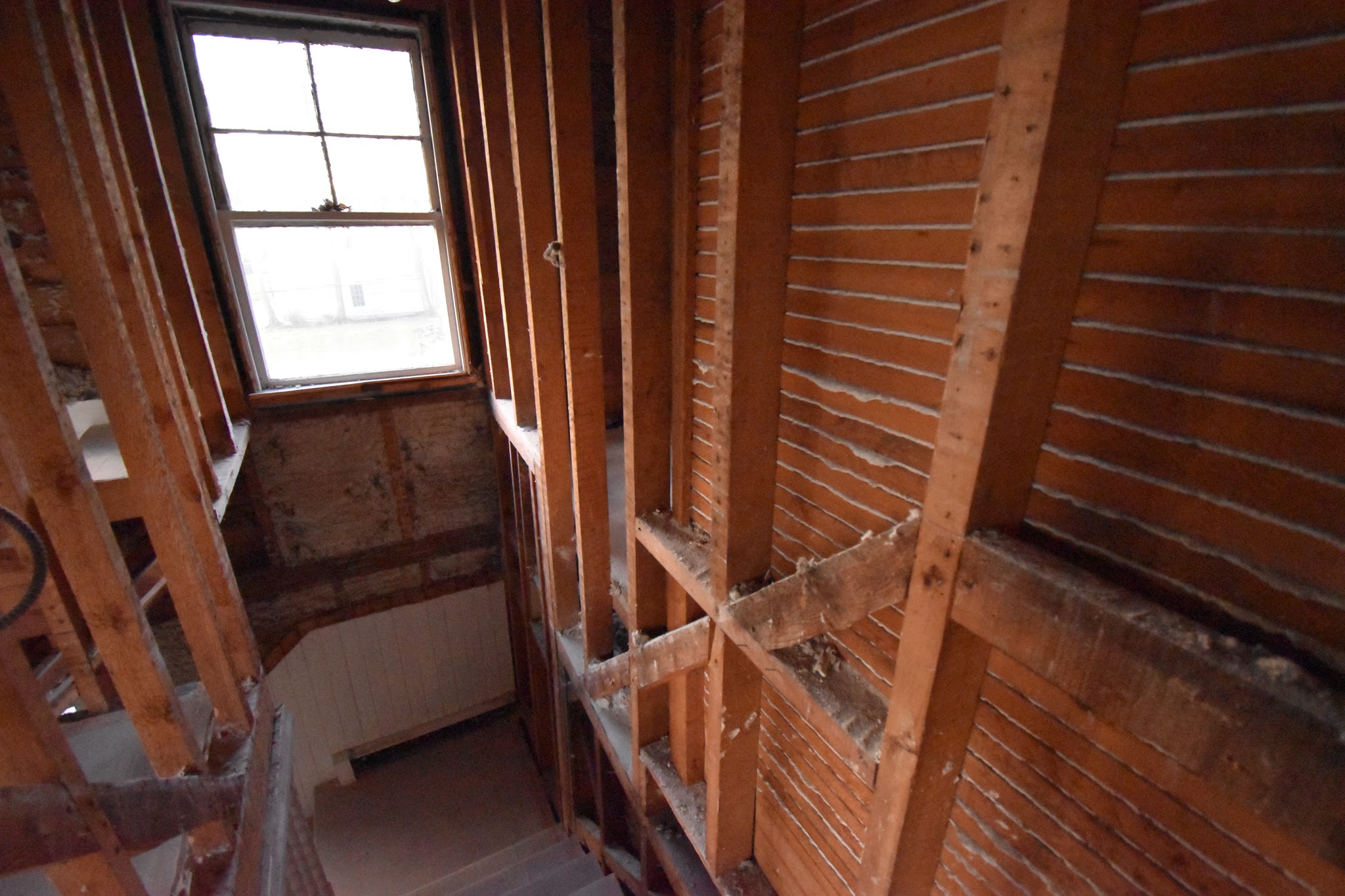 Project Update: Week 1 — image 7