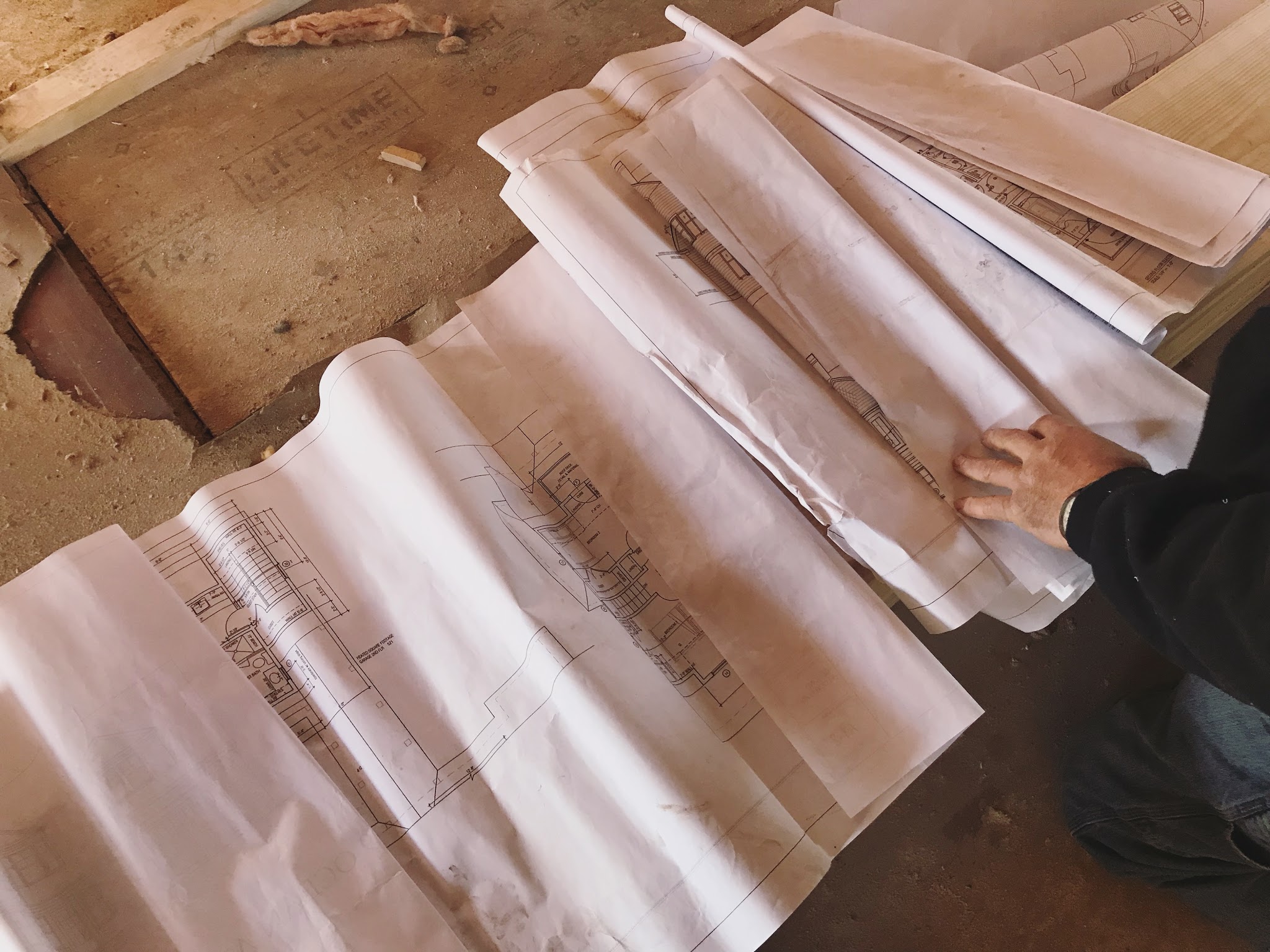 Project Update: Week 6 — image 6