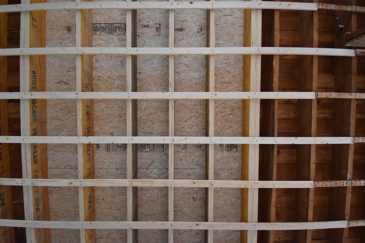 Project Update: Week 6 — image 4