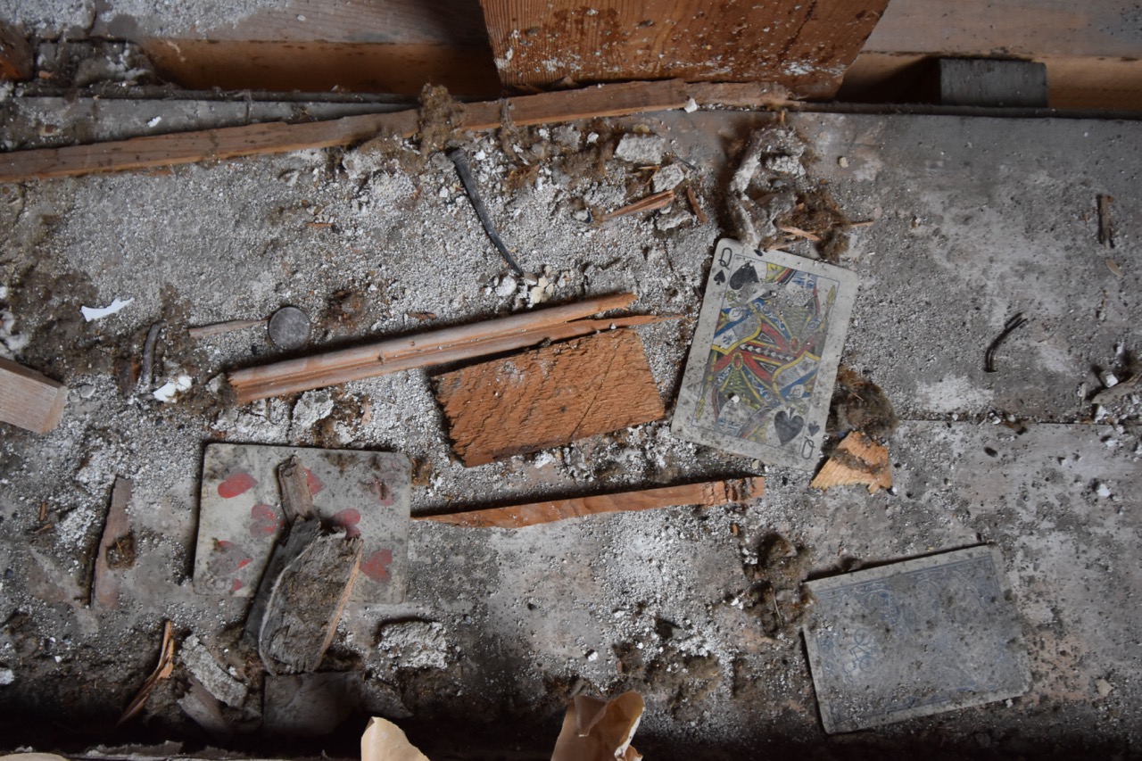 Project Update: Week 5 — image 7