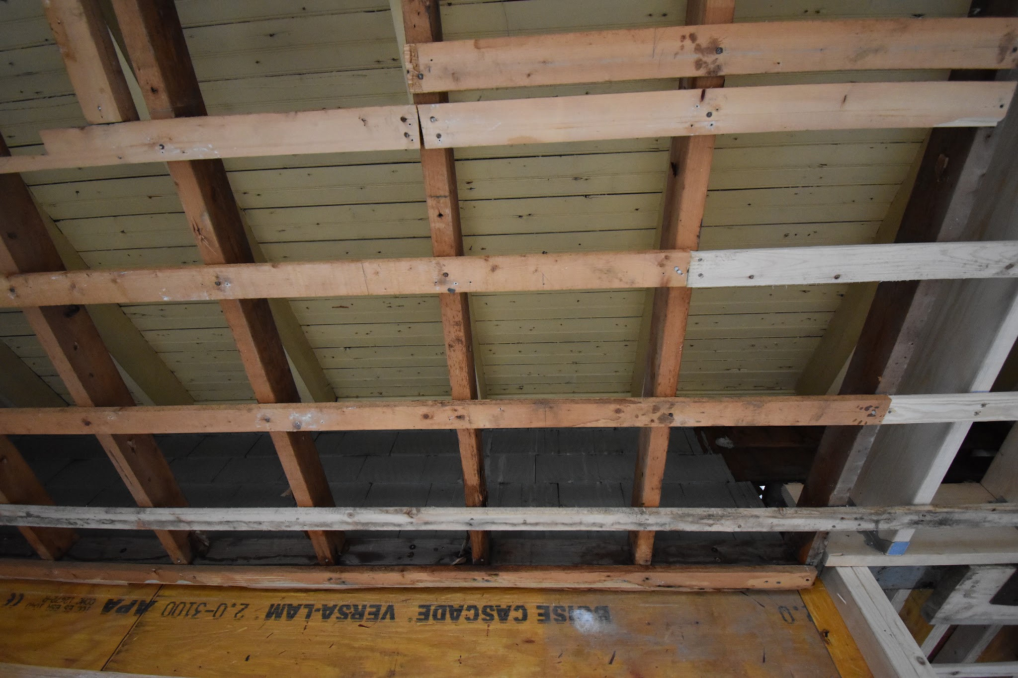 Project Update: Week 10 — image 14