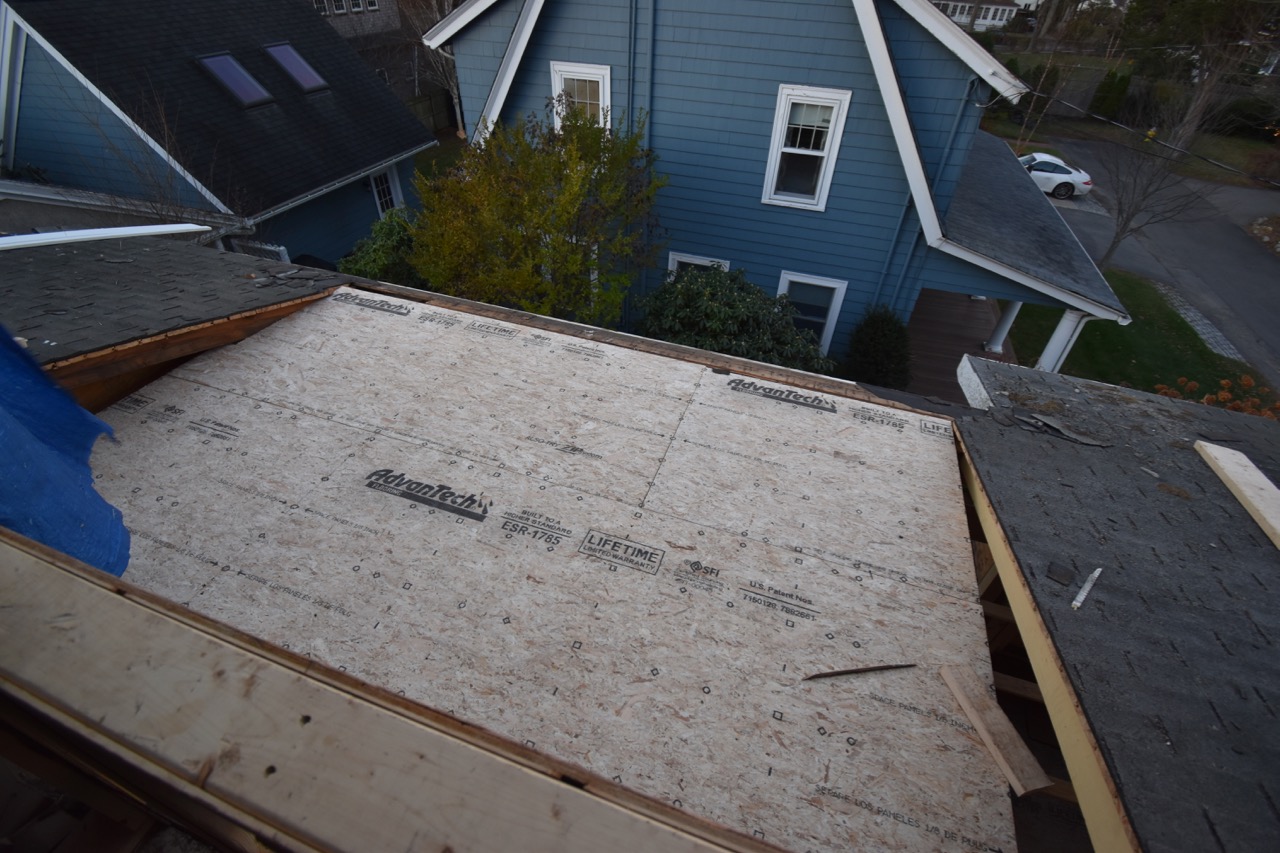 Project Update: Week 9 — image 2
