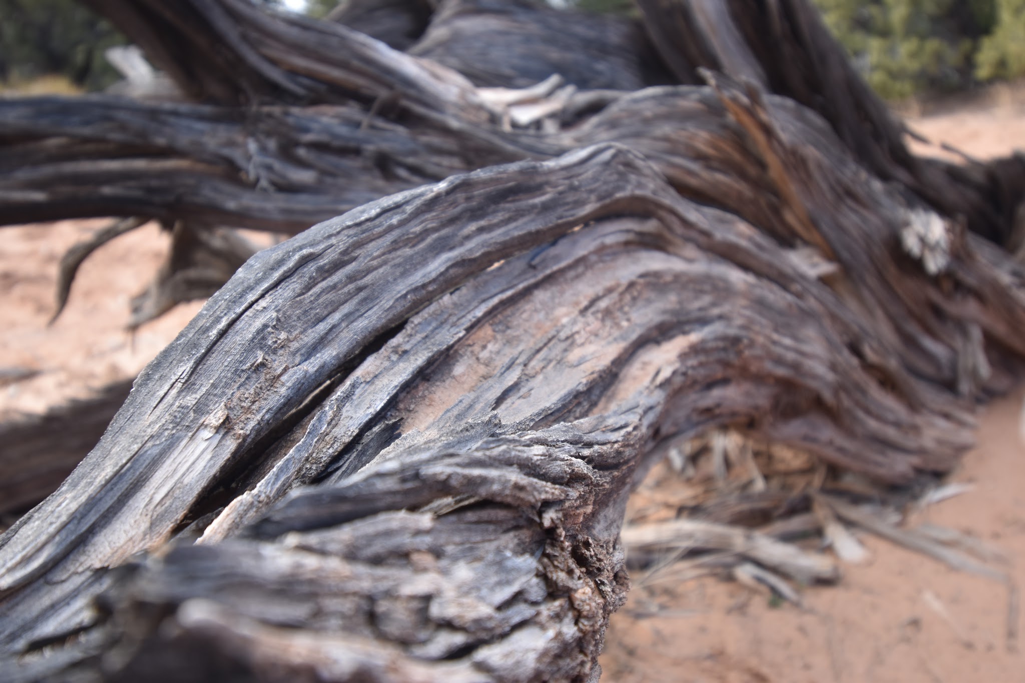 We made it to Moab // Day 4 — image 20