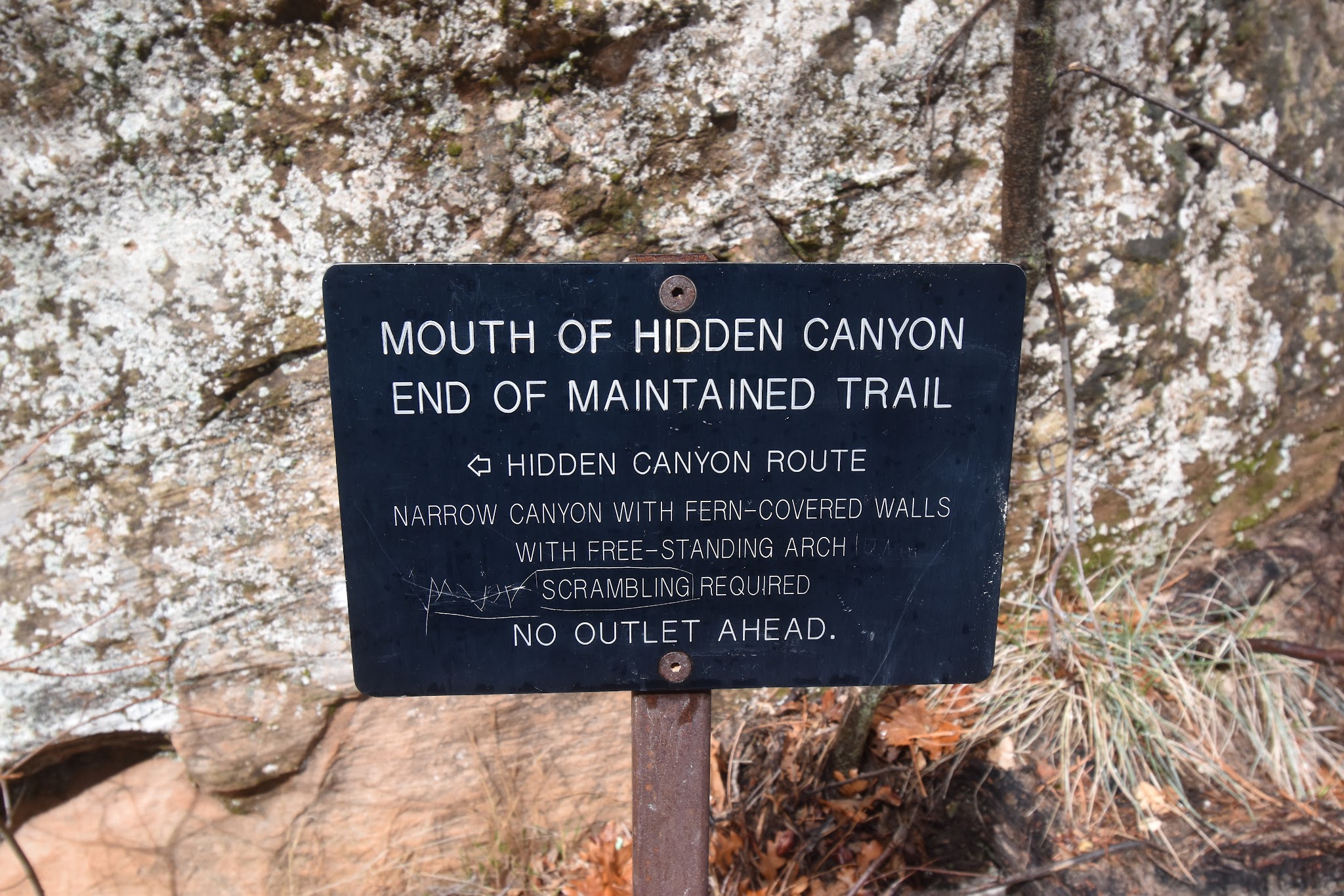 We made it to Bryce // Day 2 — image 8