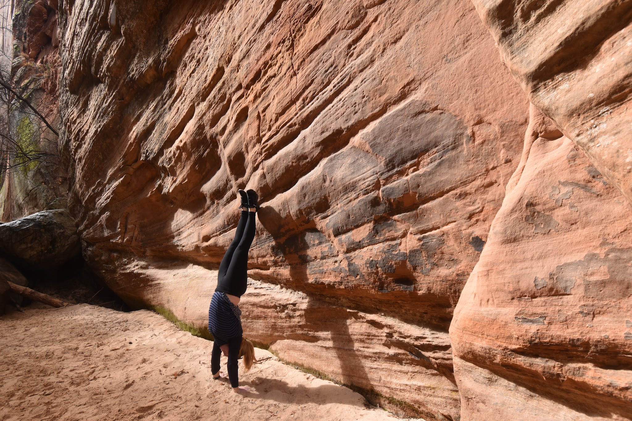 We made it to Bryce // Day 2 — image 9