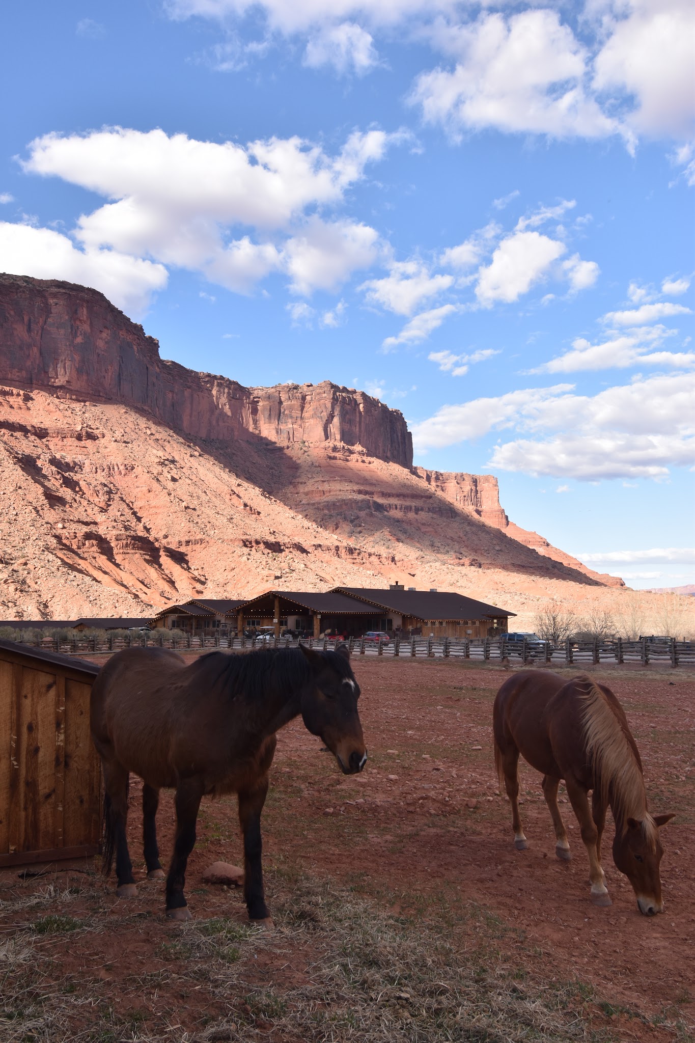 We made it to Moab // Day 4 — image 23