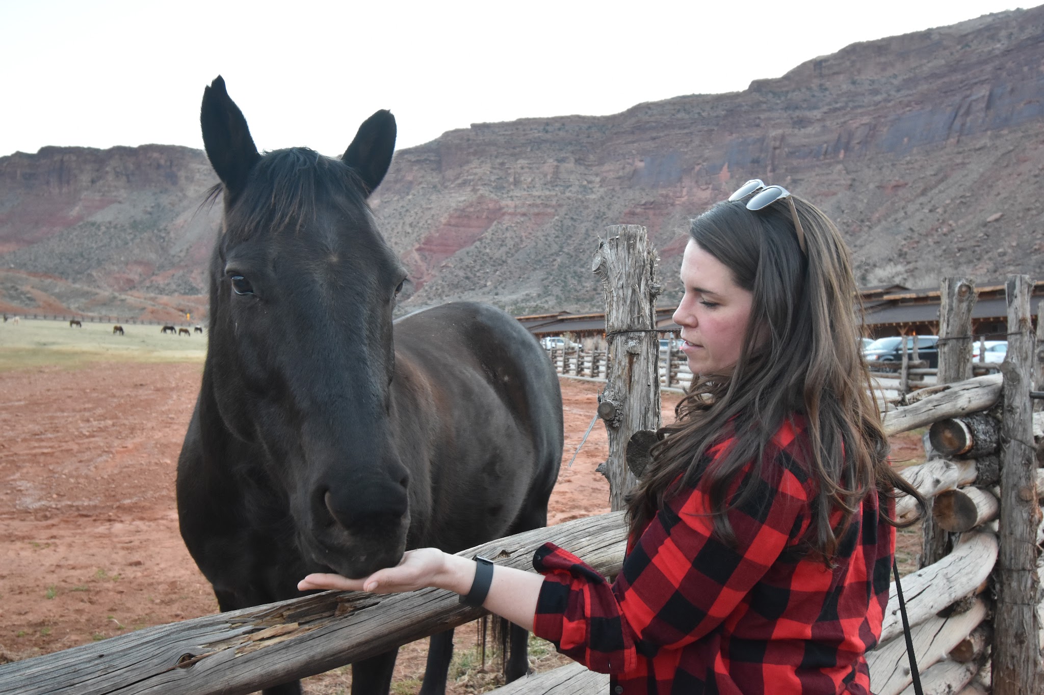 We made it to Moab // Day 4 — image 25