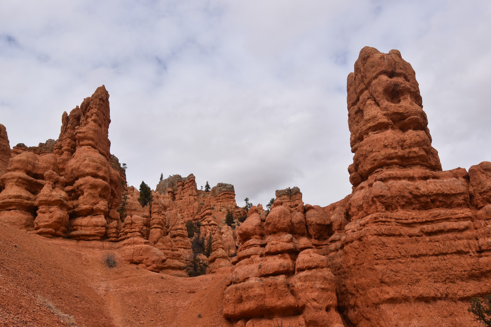 We made it to Bryce // Day 2 — image 14