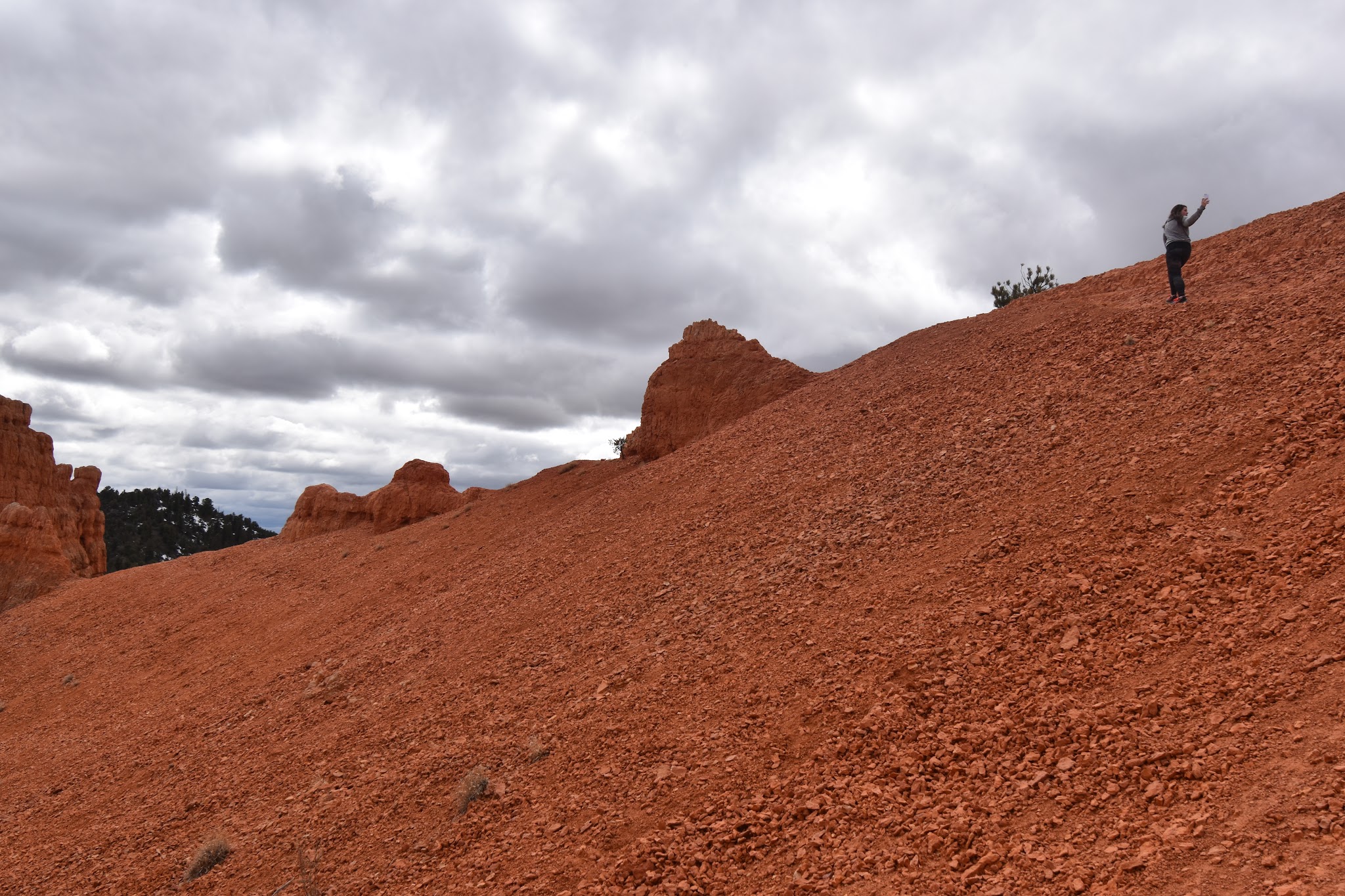 We made it to Bryce // Day 2 — image 15