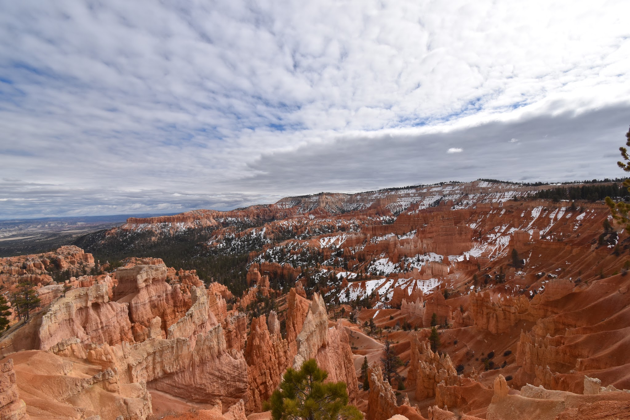 We made it to Bryce // Day 2 — image 16