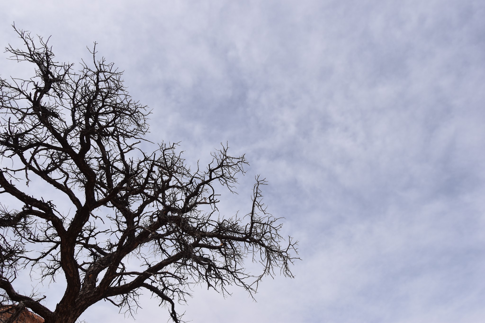 We made it to Arches // Day 5 — image 10