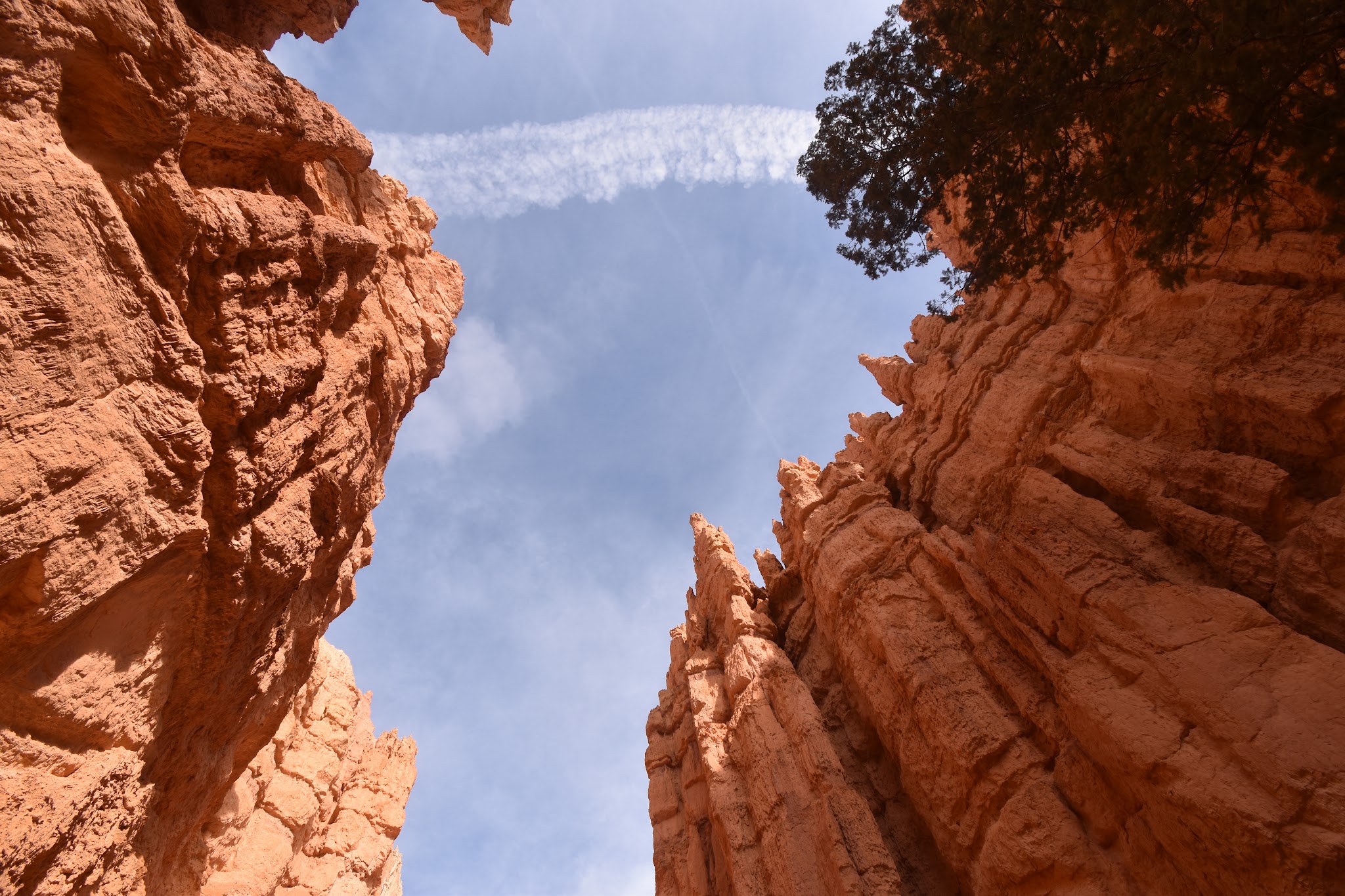 We made it to Capitol Reef // Day 3 — image 9