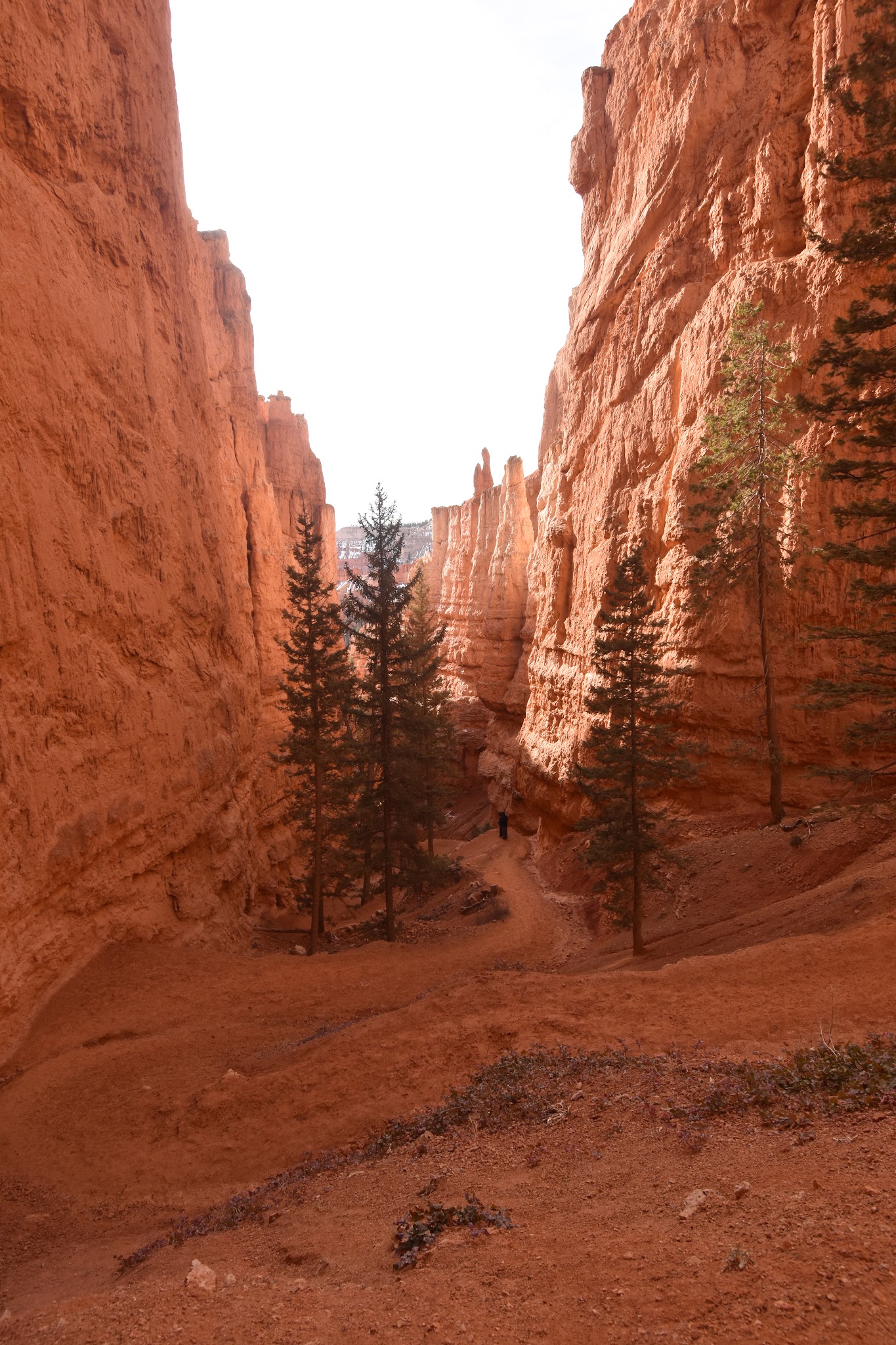 We made it to Capitol Reef // Day 3 — image 10
