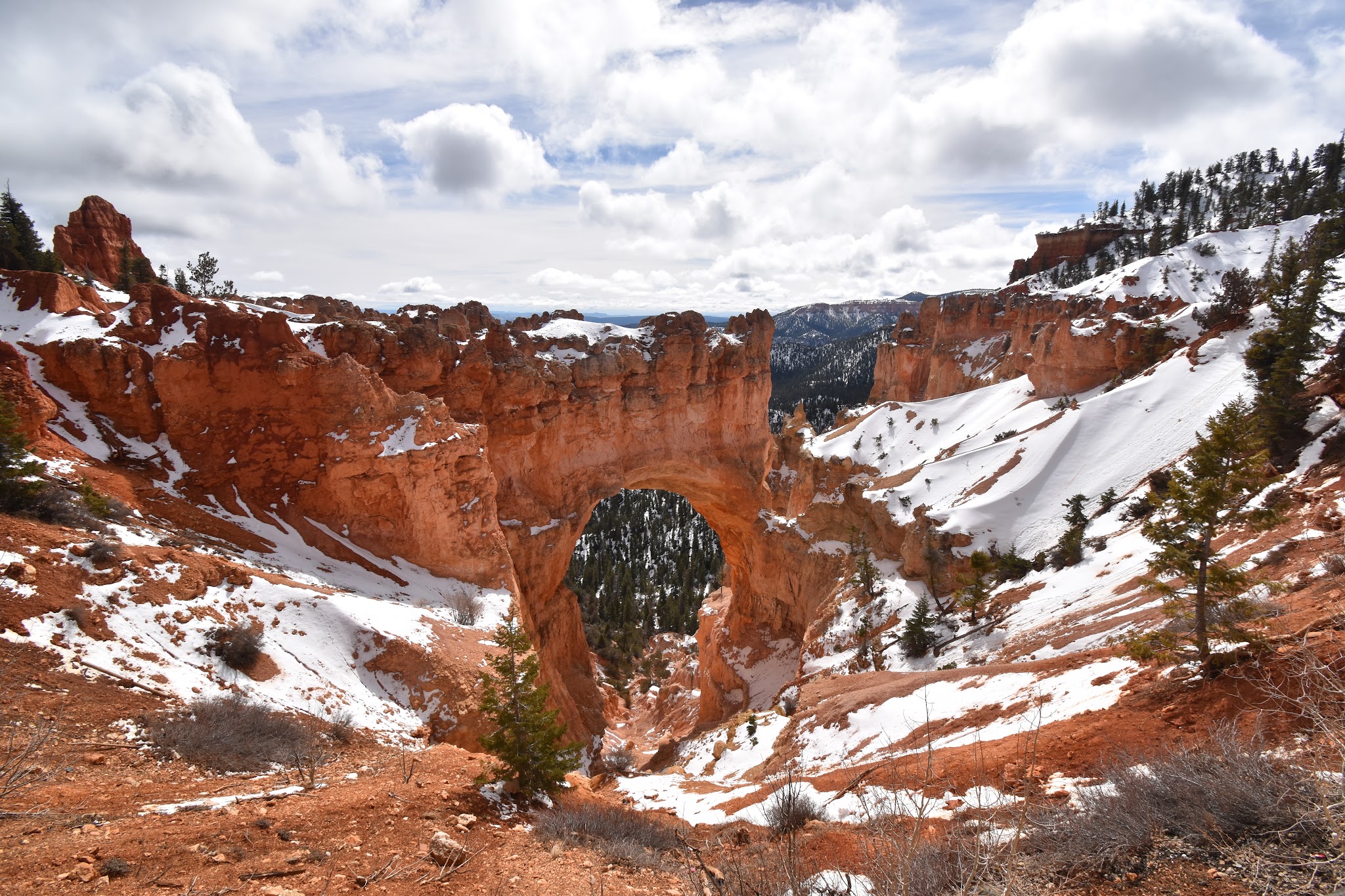 We made it to Capitol Reef // Day 3 — image 16
