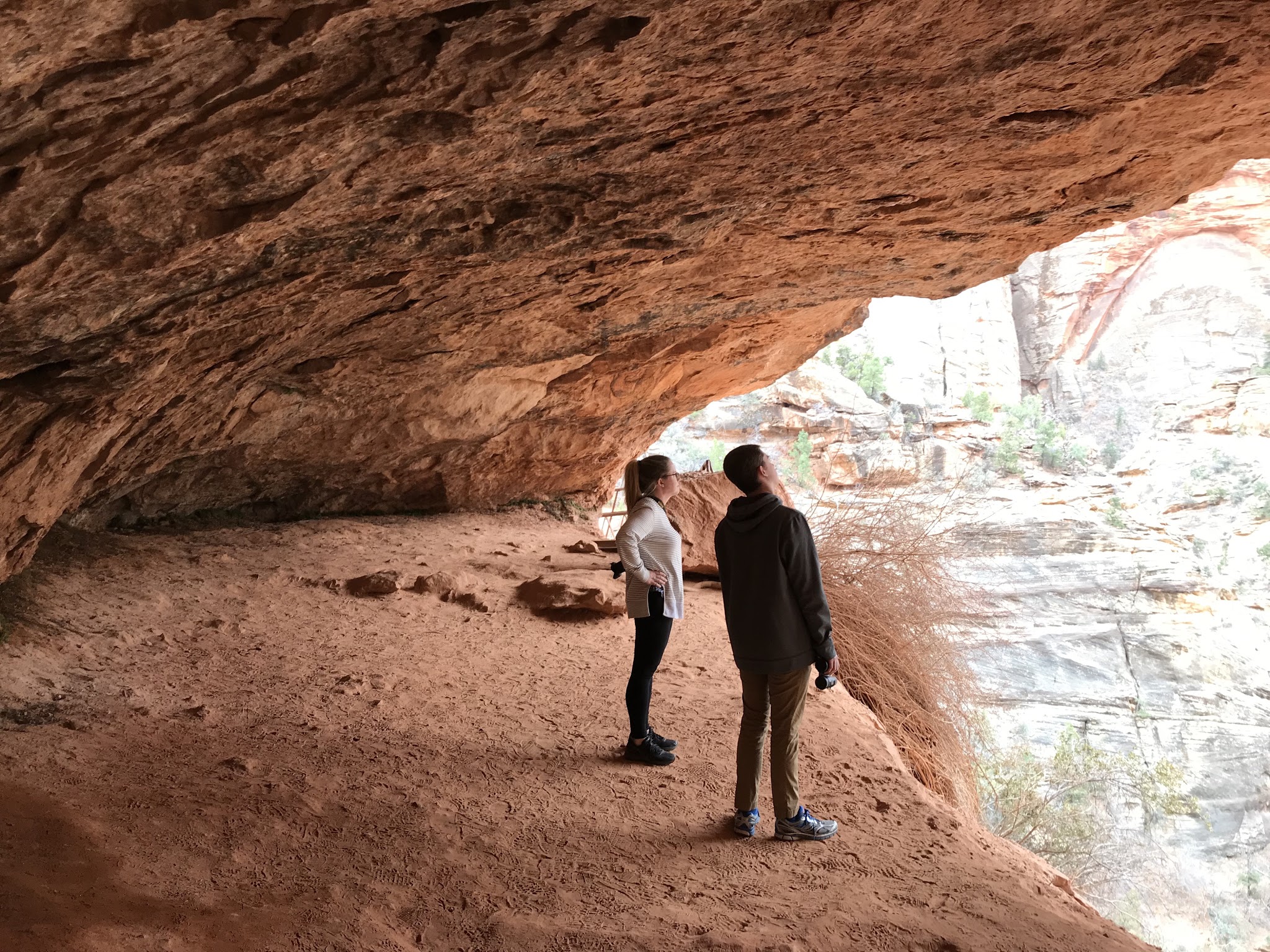 We made it to Zion // Day 1
