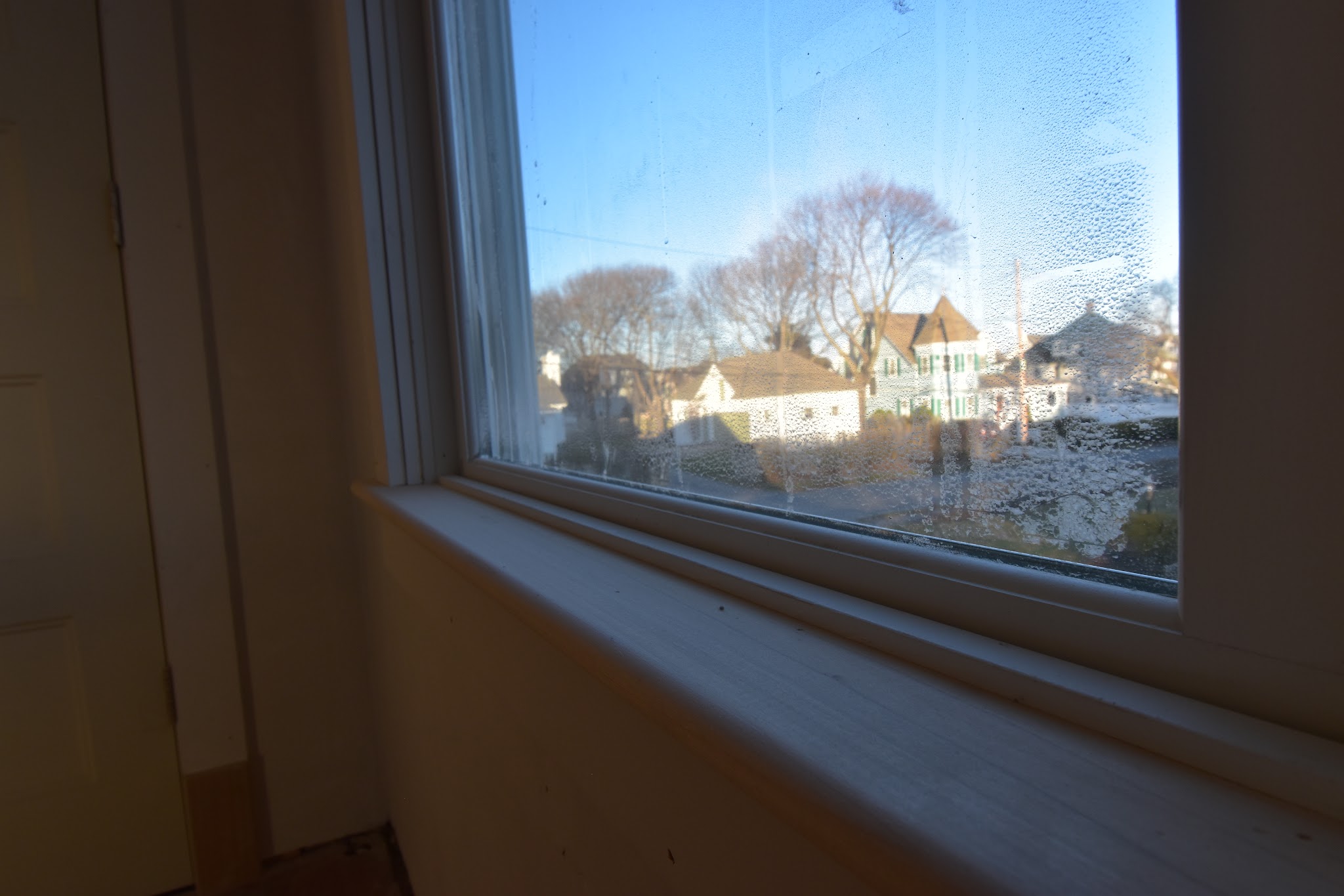 Week 27 — image 2