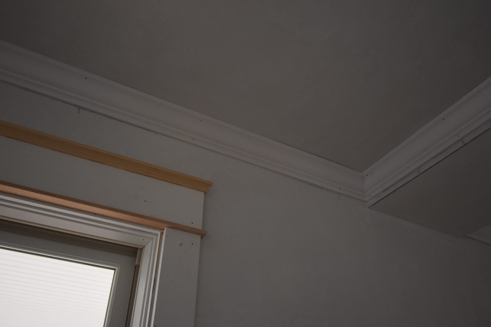Week 28 — image 9
