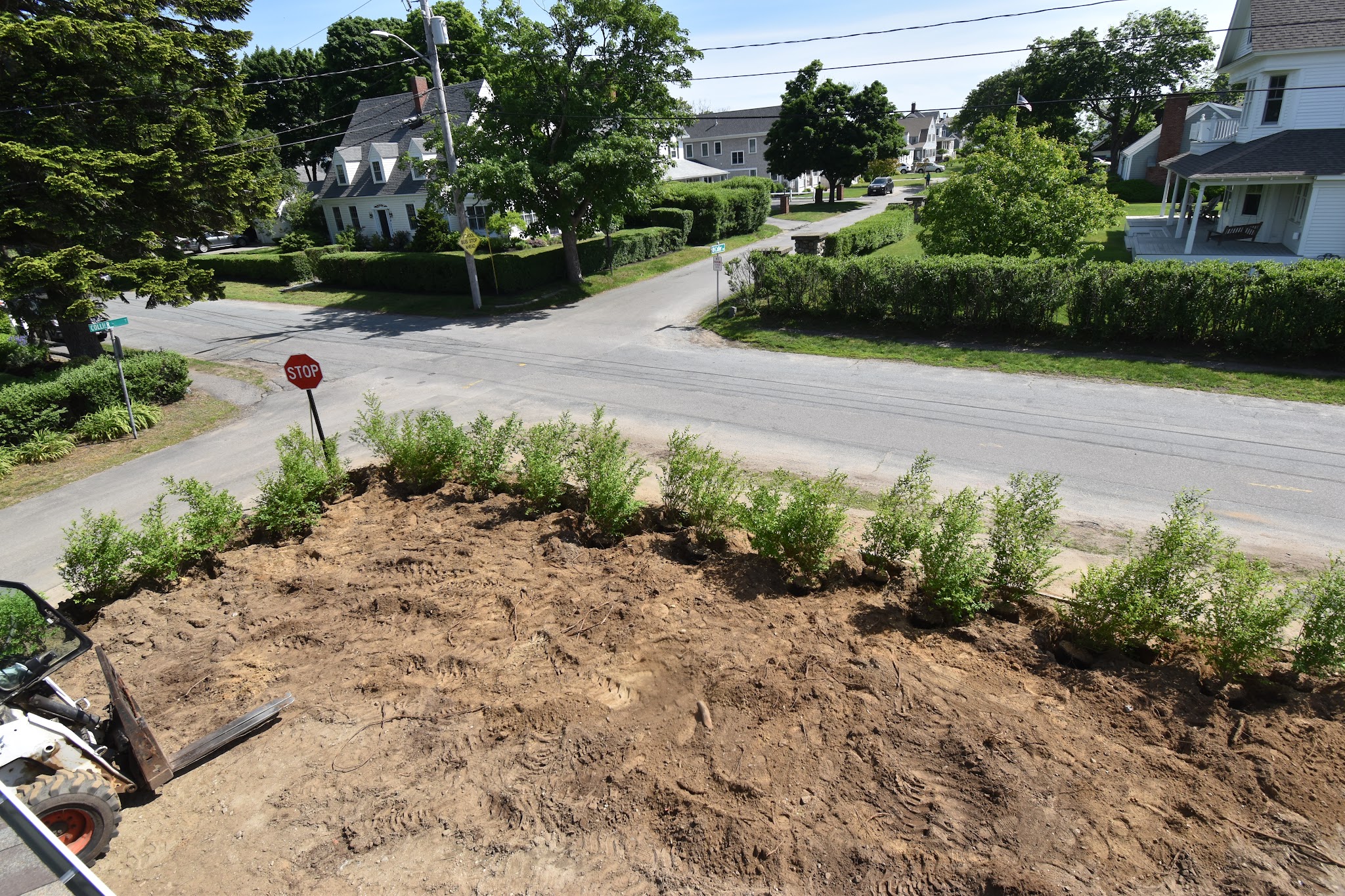 week 36 — image 9