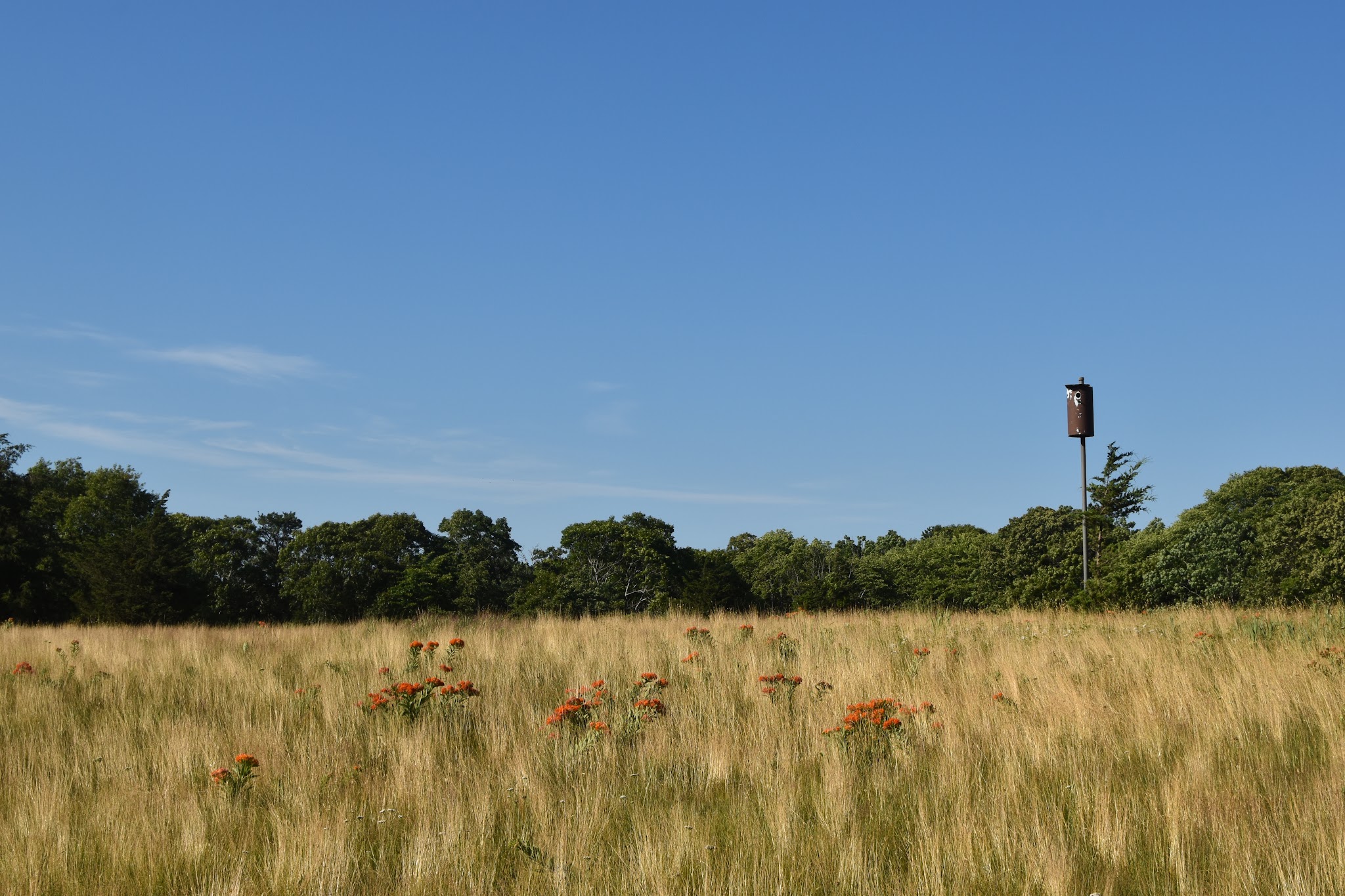 22 hours on Martha's Vineyard — image 11
