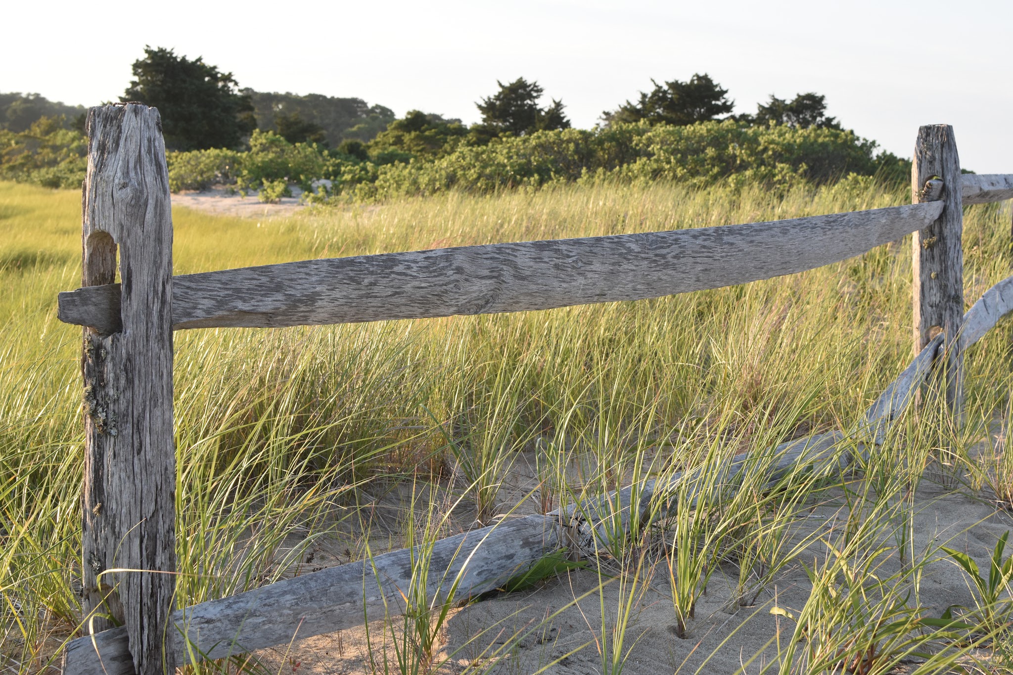 22 hours on Martha's Vineyard — image 17