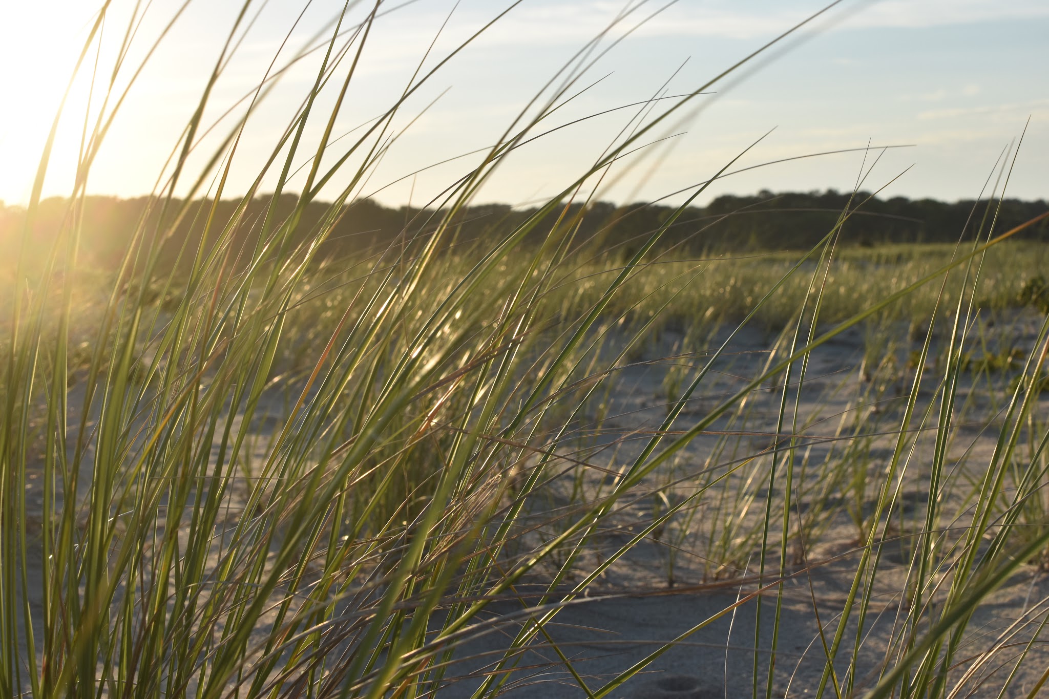 22 hours on Martha's Vineyard — image 15