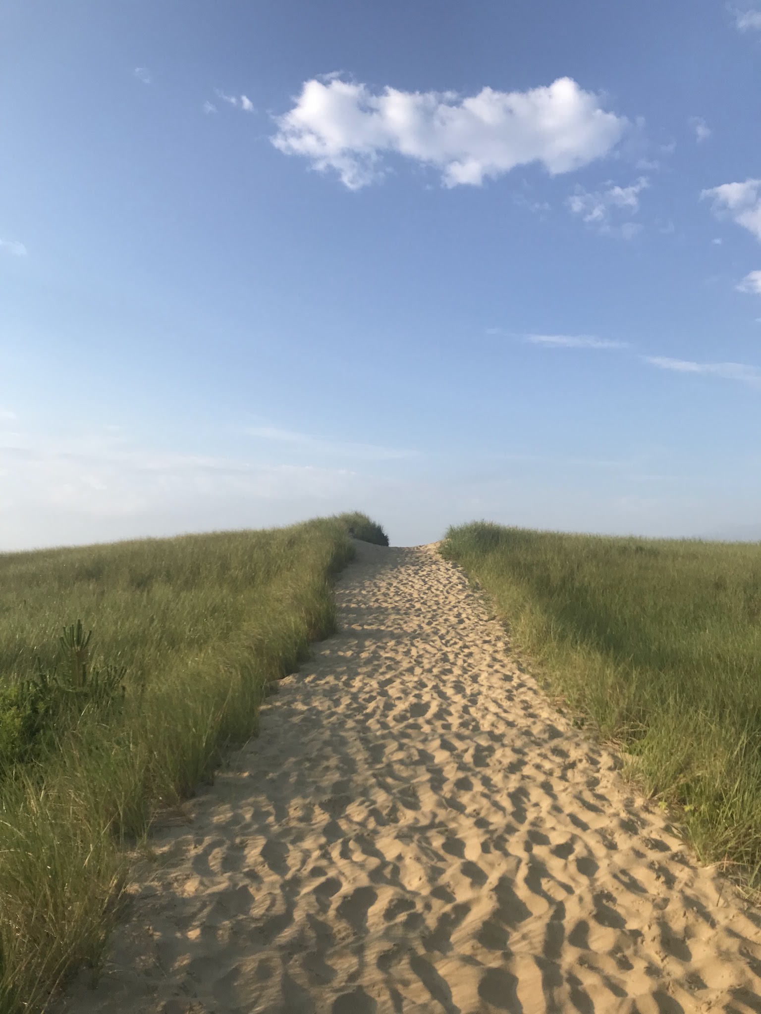 22 hours on Martha's Vineyard — image 22