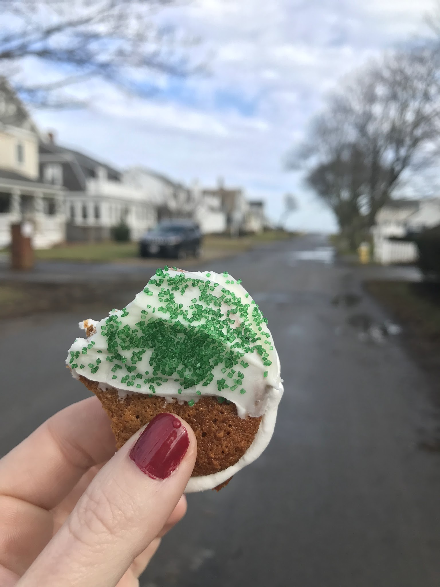 chocolate marshmallow gingersnap