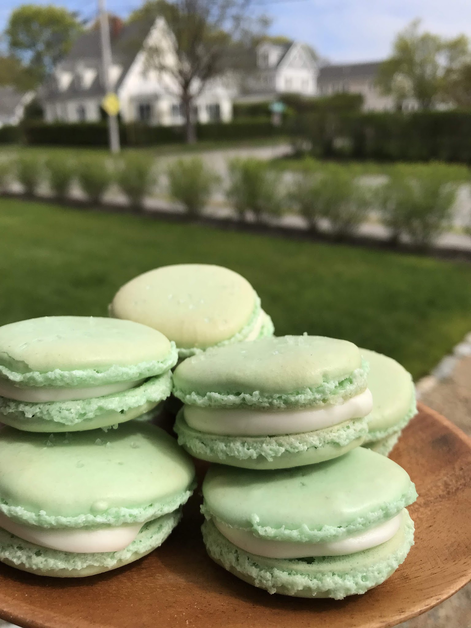 margarita macarons