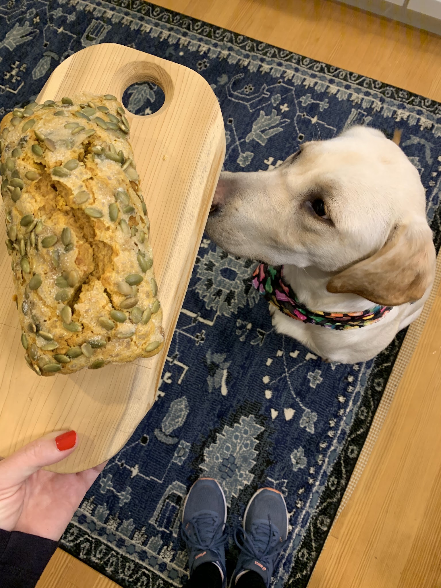 harvest loaf with maple butter
