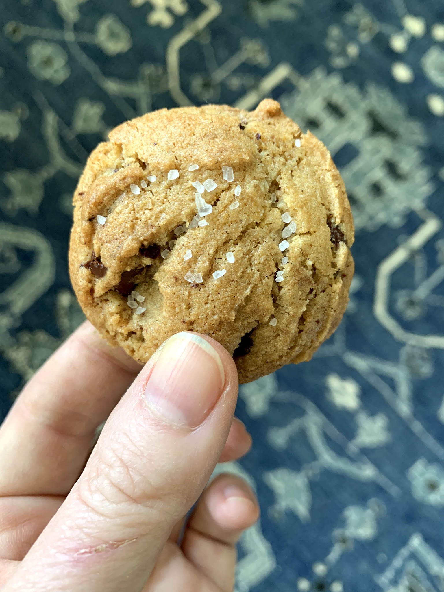 gluten free chocolate chip cookies