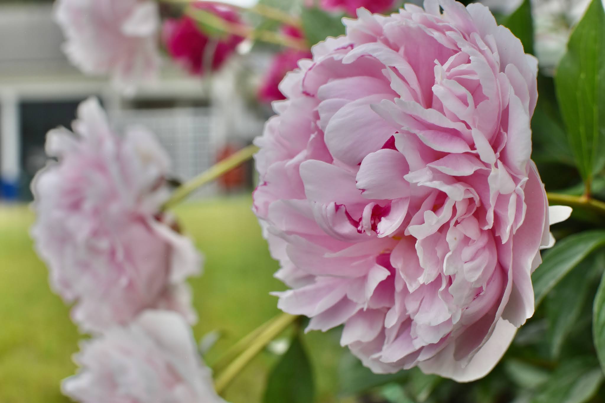 seasonal love affair — image 5