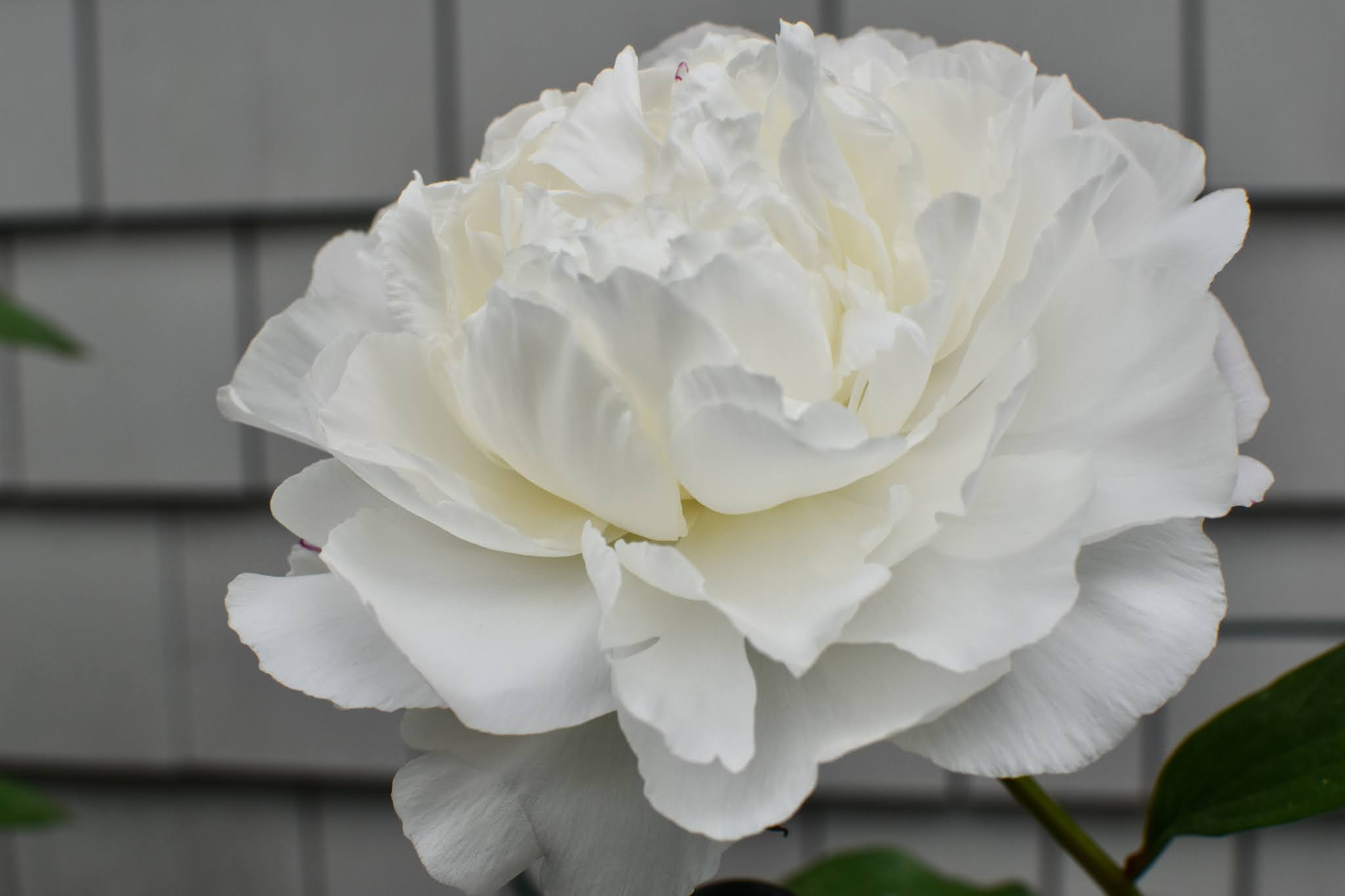 seasonal love affair — image 6