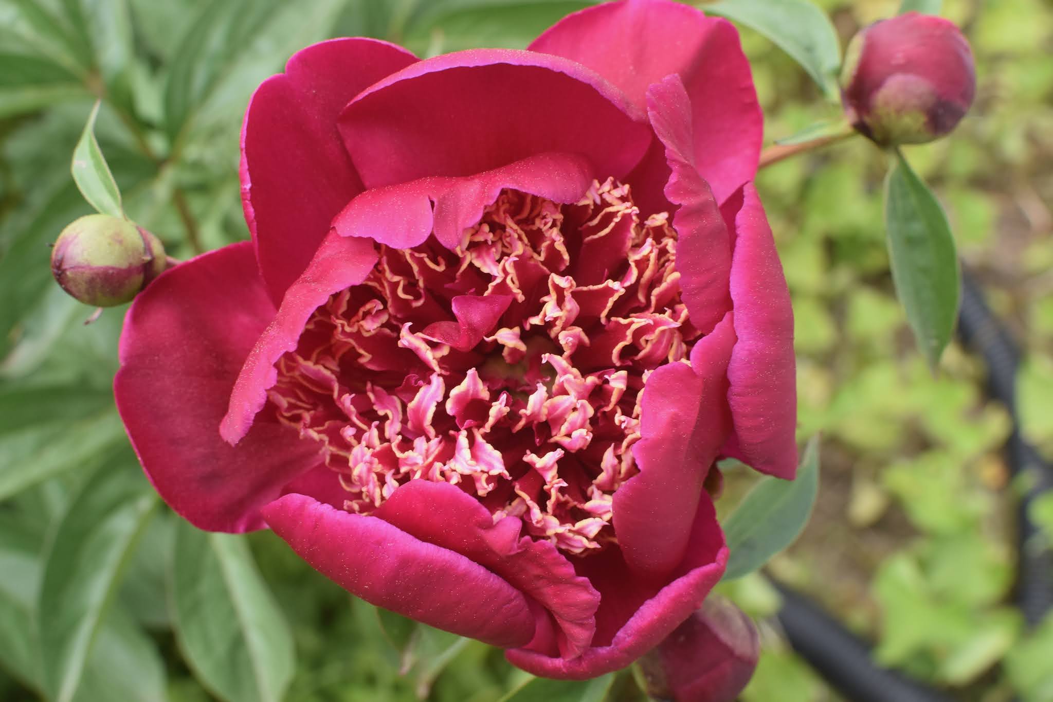 seasonal love affair — image 7