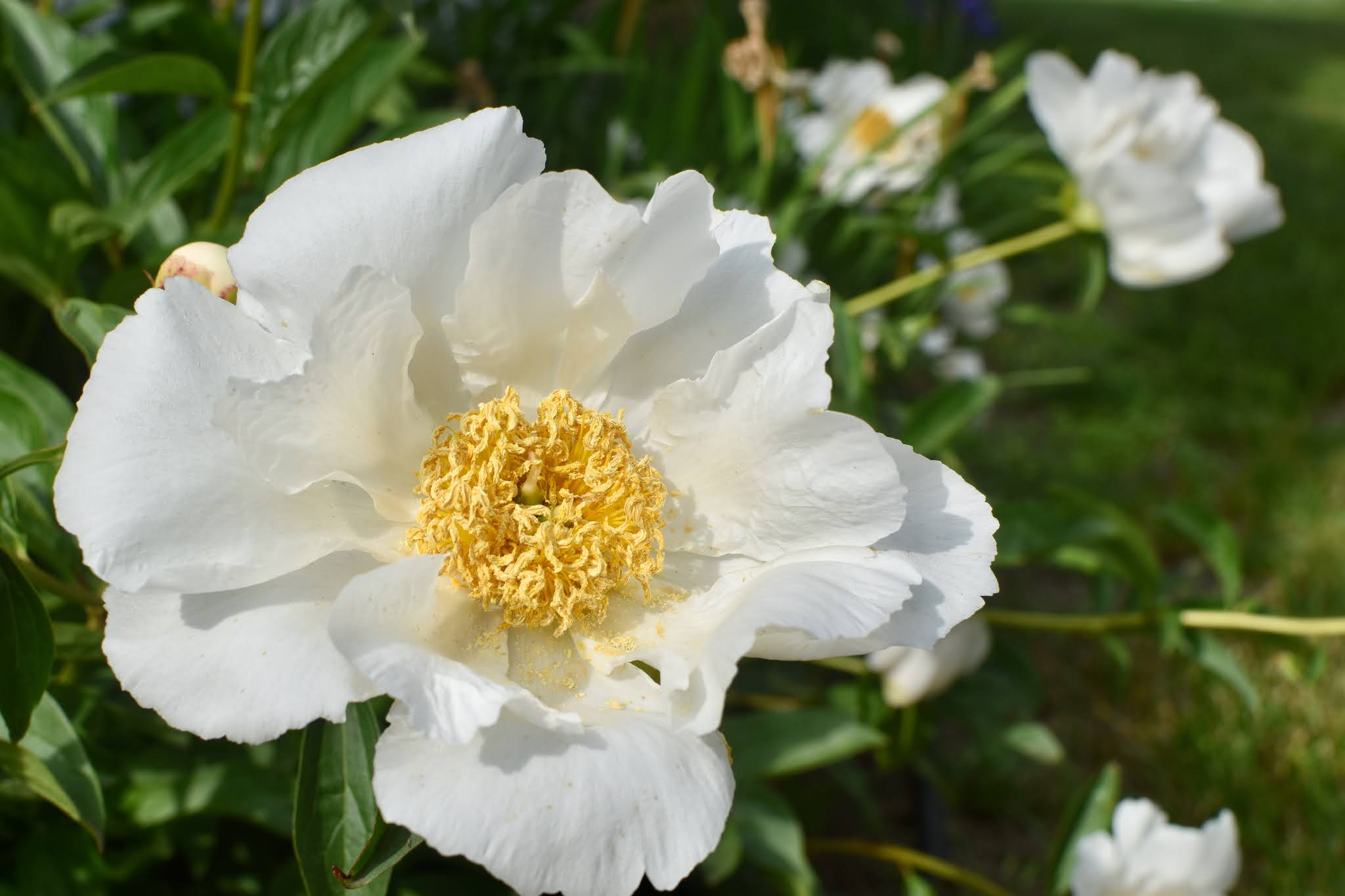 seasonal love affair — image 8