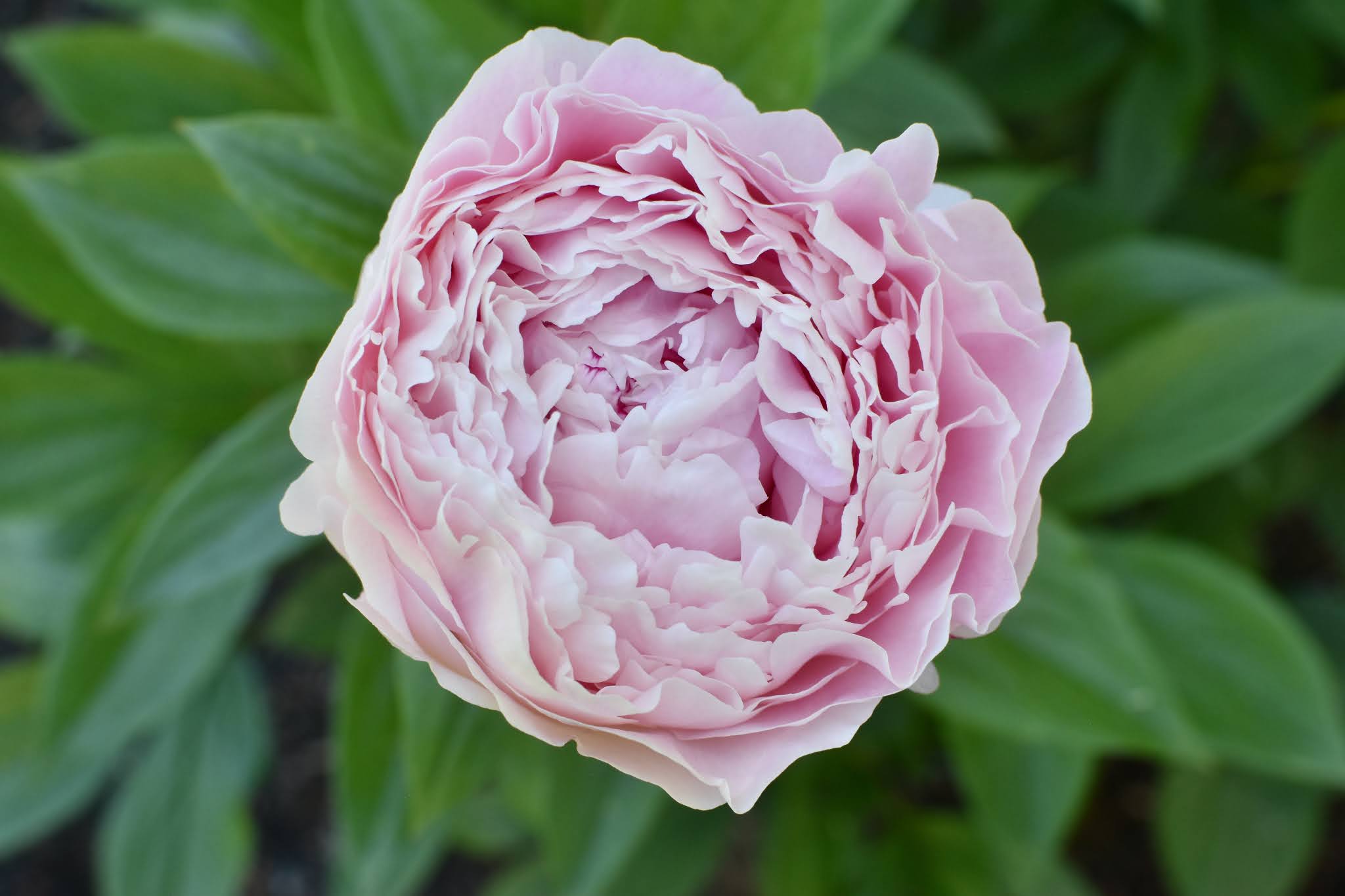 seasonal love affair — image 9