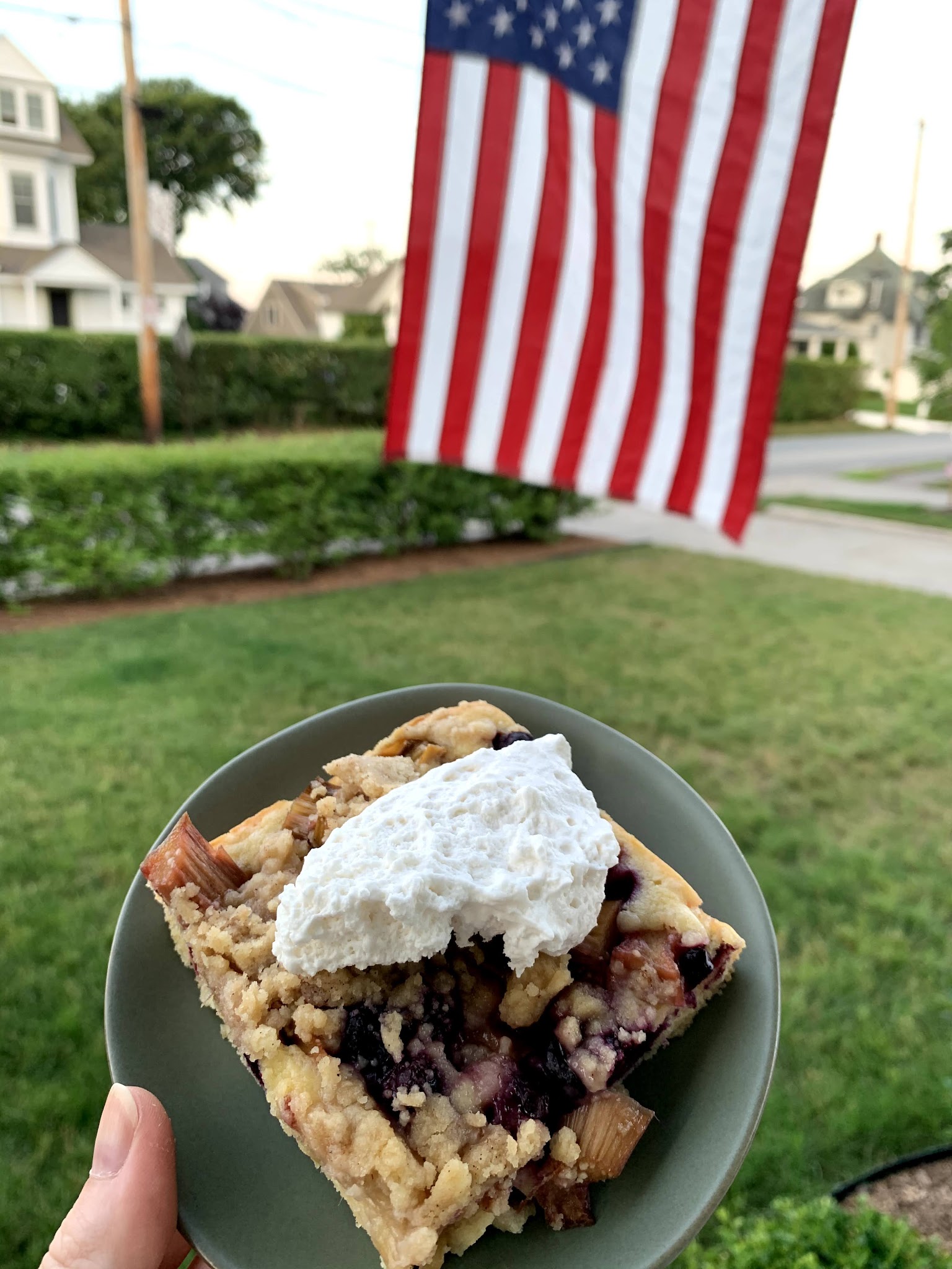 rhubarb blueberry anytime cake