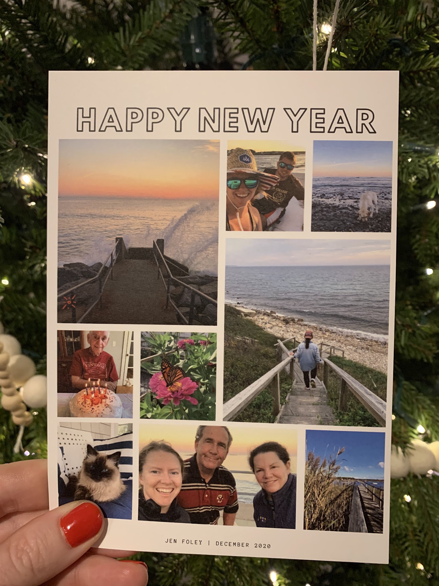my christmas + new years card