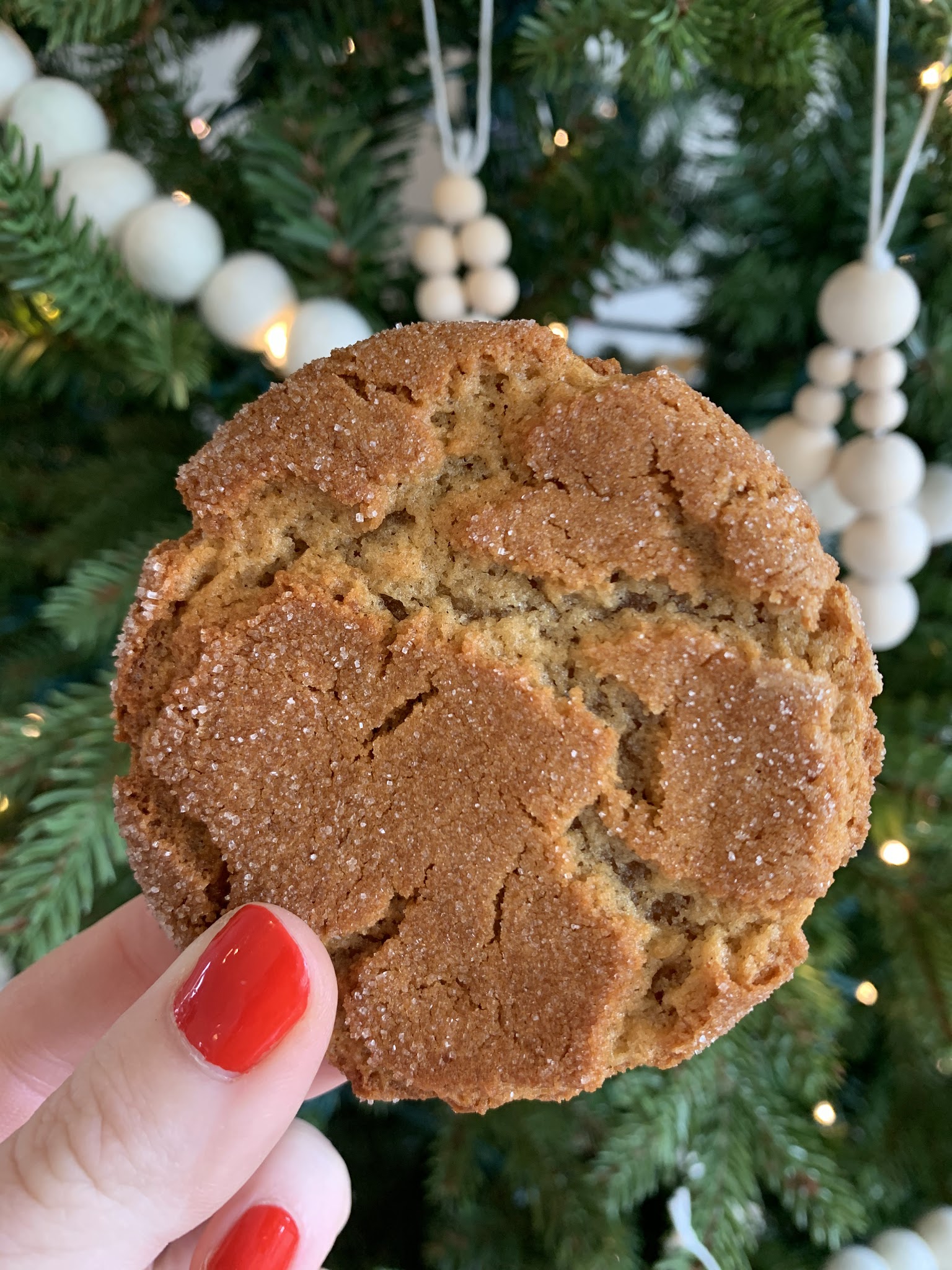miso peanut butter cookies